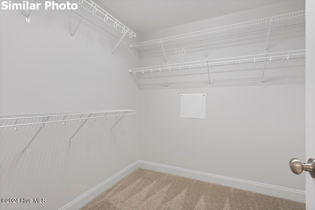 100499948 | Photo 45