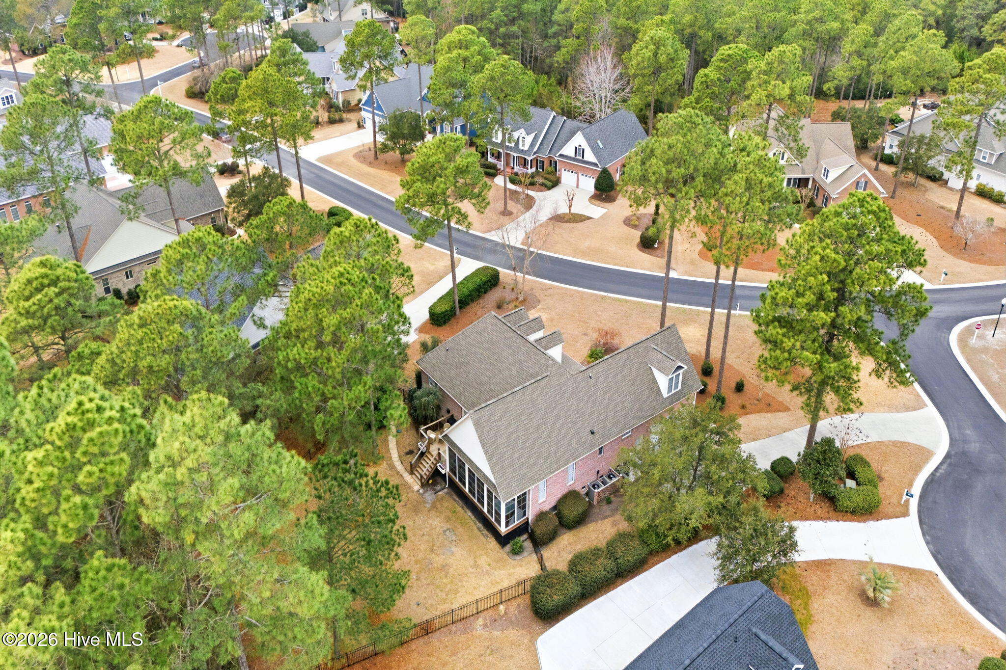 100556153 | Photo 11