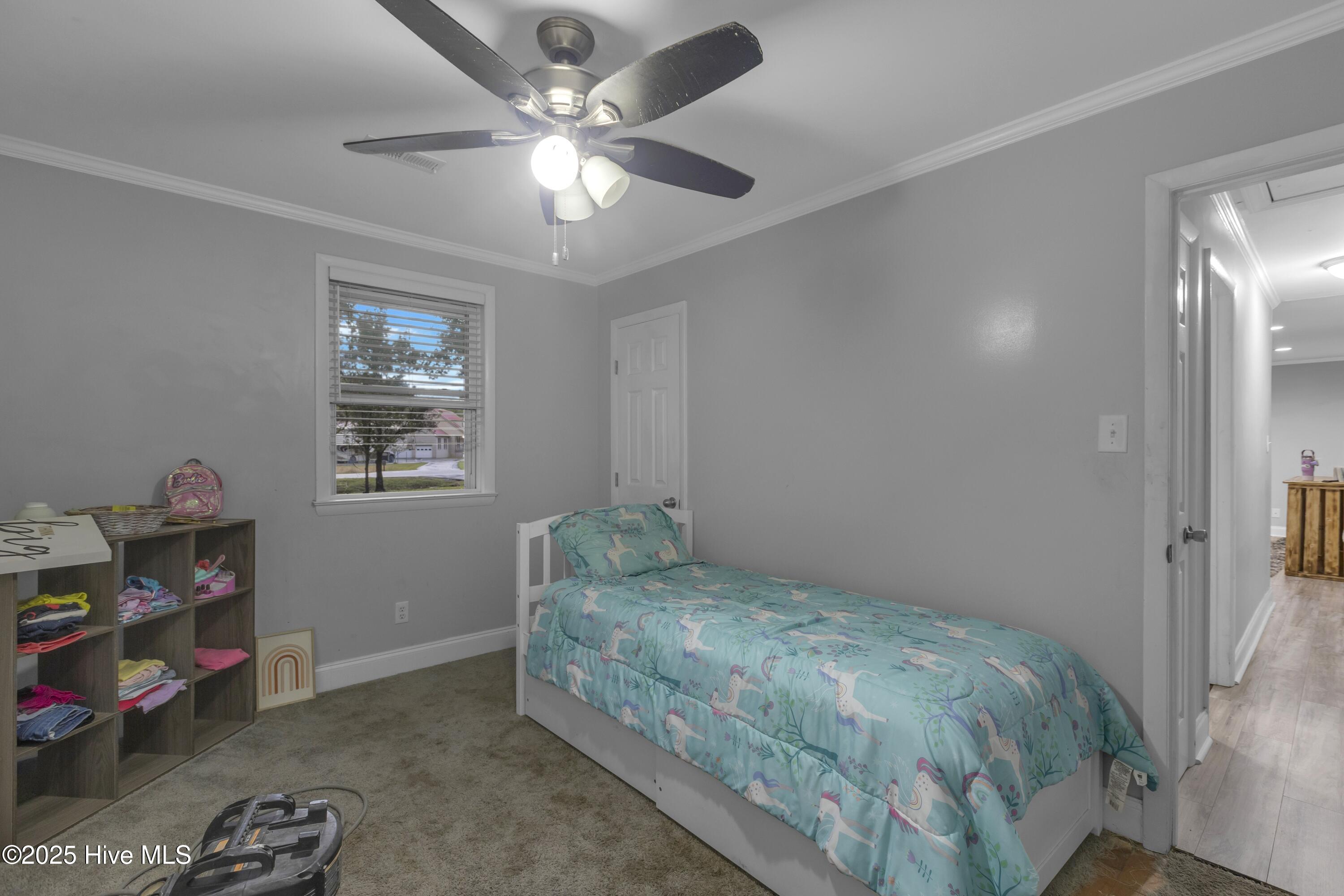 100538970 | Photo 22