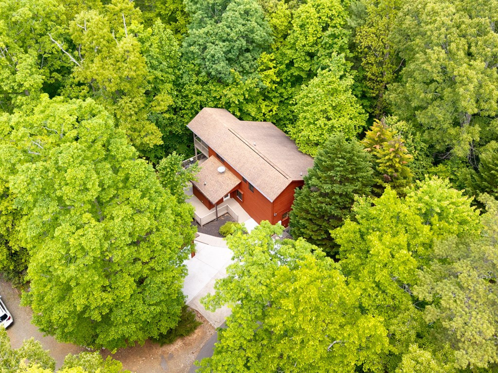 175 Scenic Highlands Drive, Marble, NC 28905 Listing Photo  43