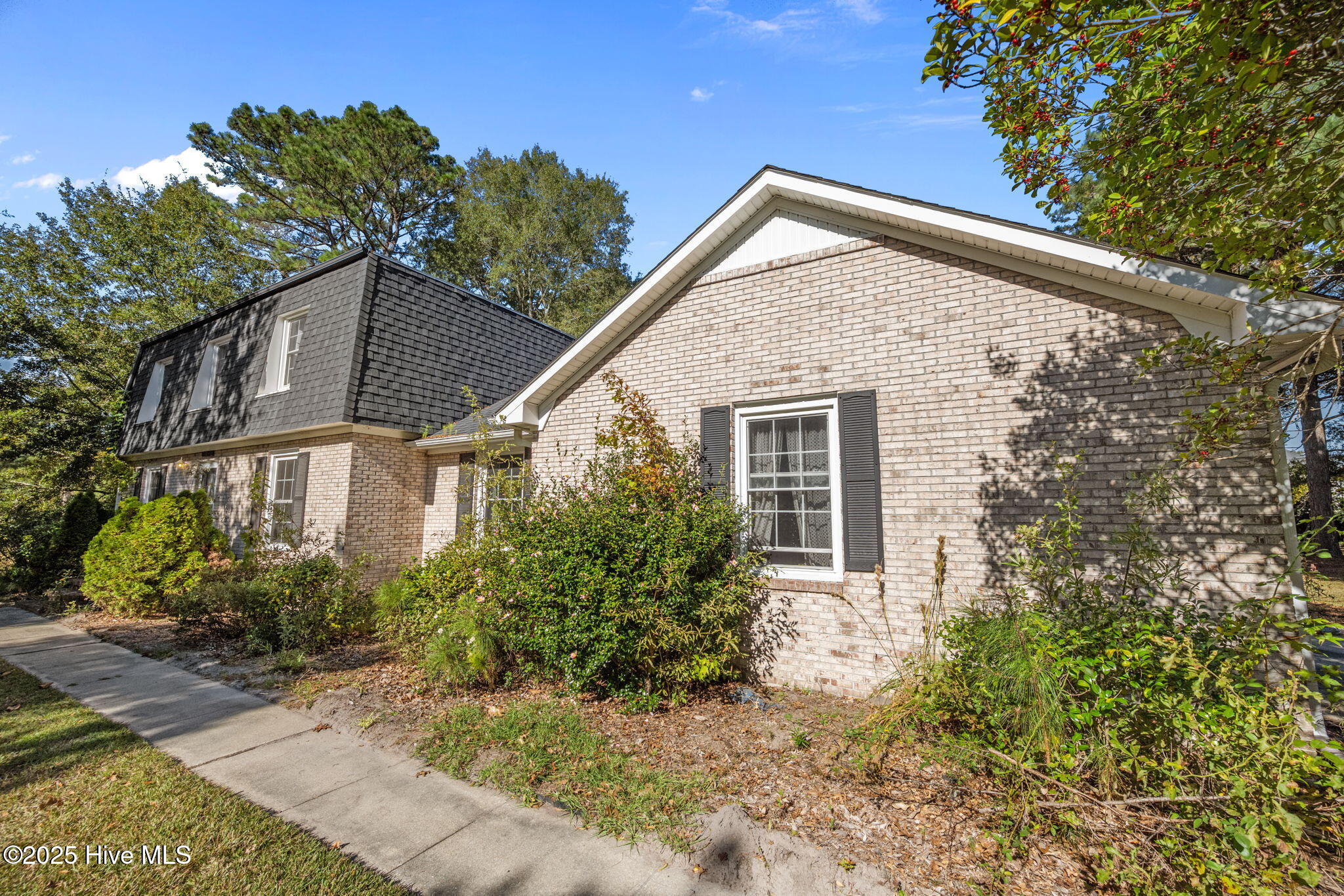 100537375 | Photo 40