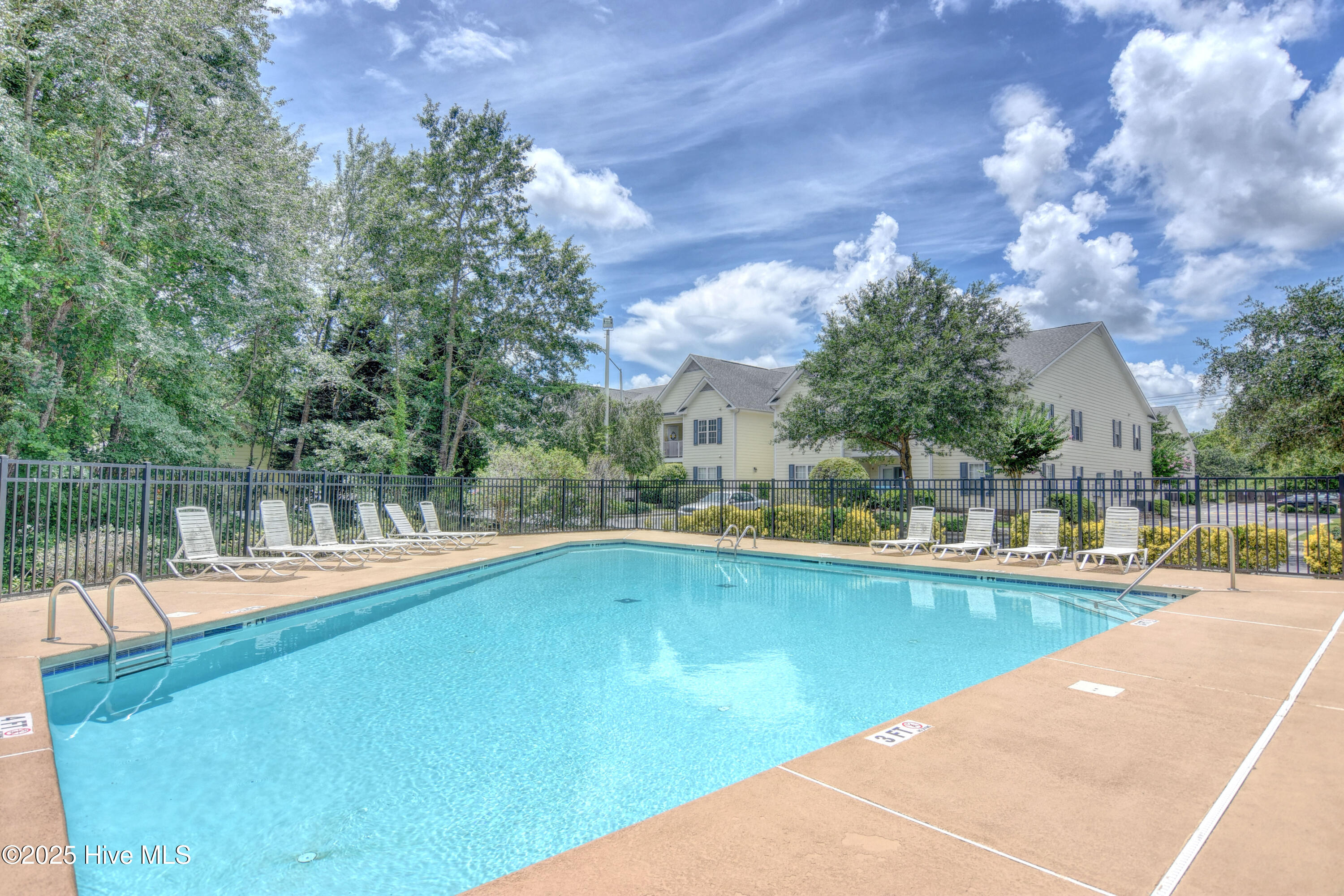 100533943 | Photo 30