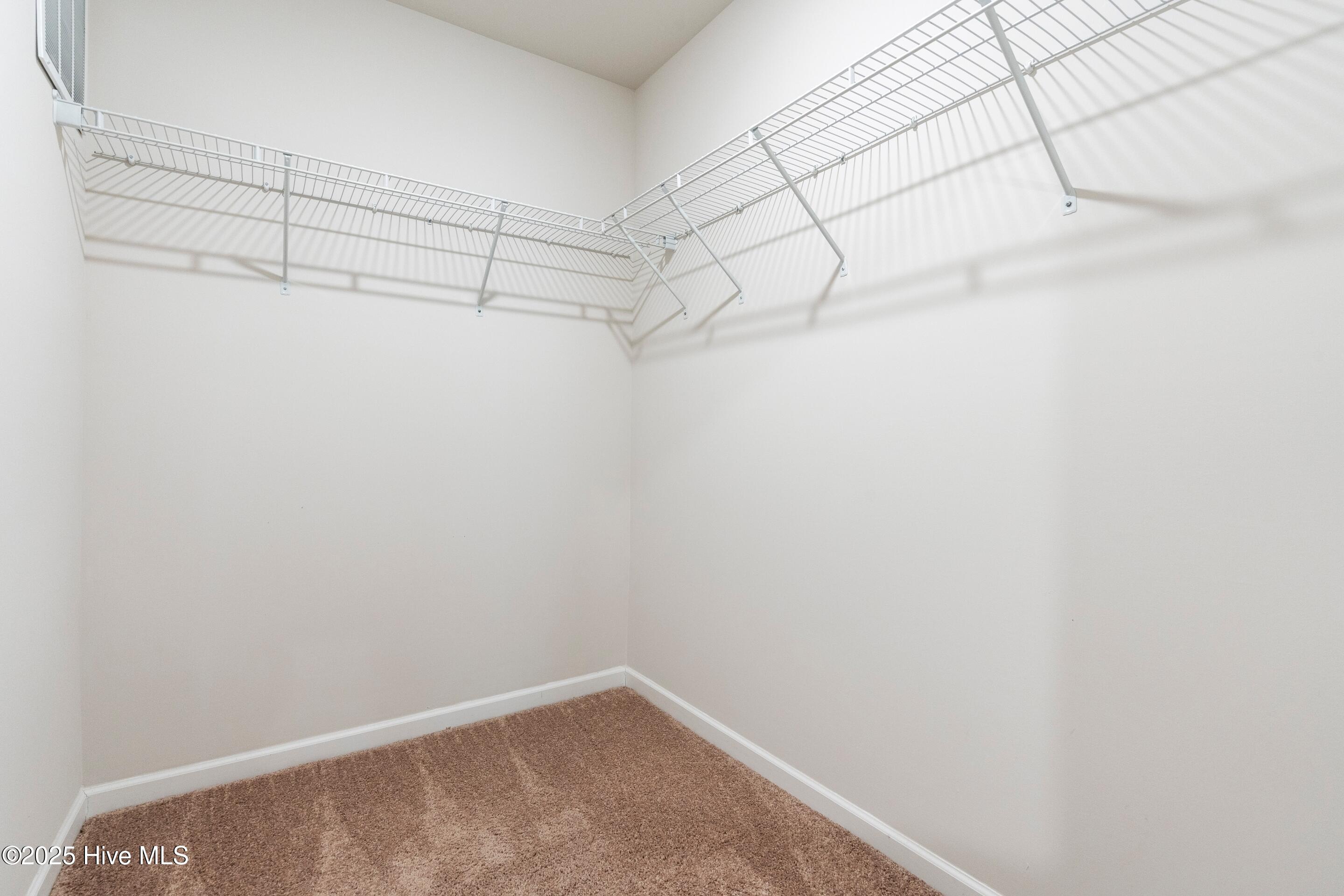 100539921 | Photo 22