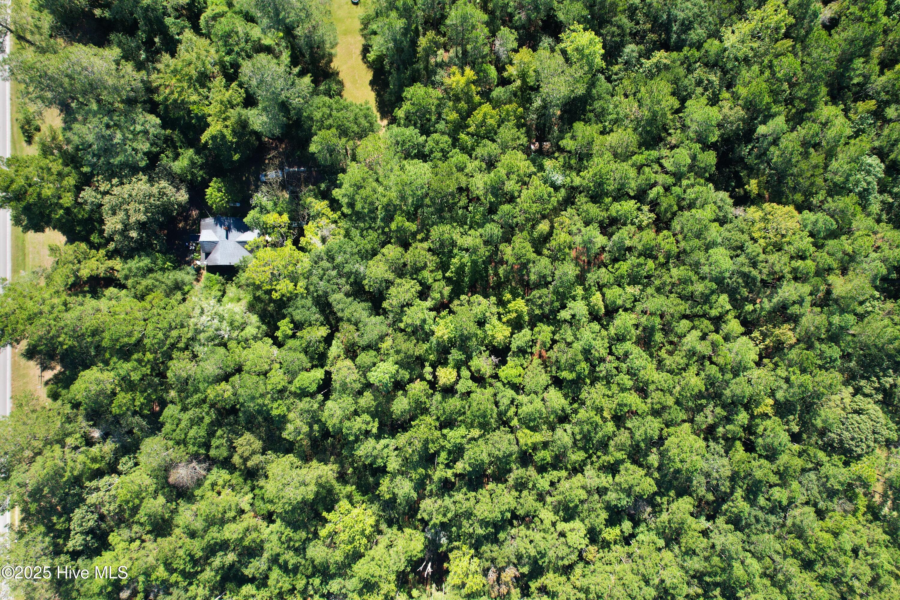 100538824 | Photo 17