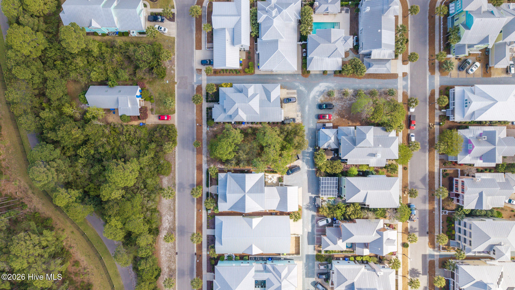 100565581 | Photo 11