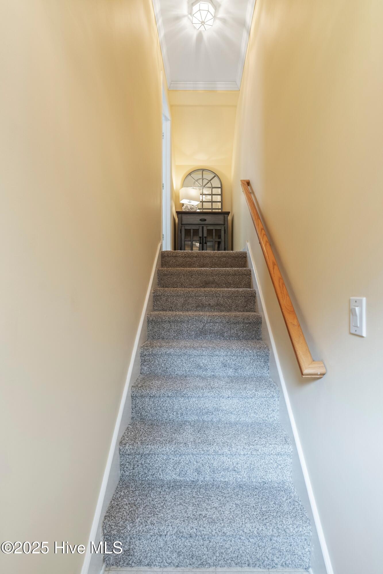 100530044 | Photo 26