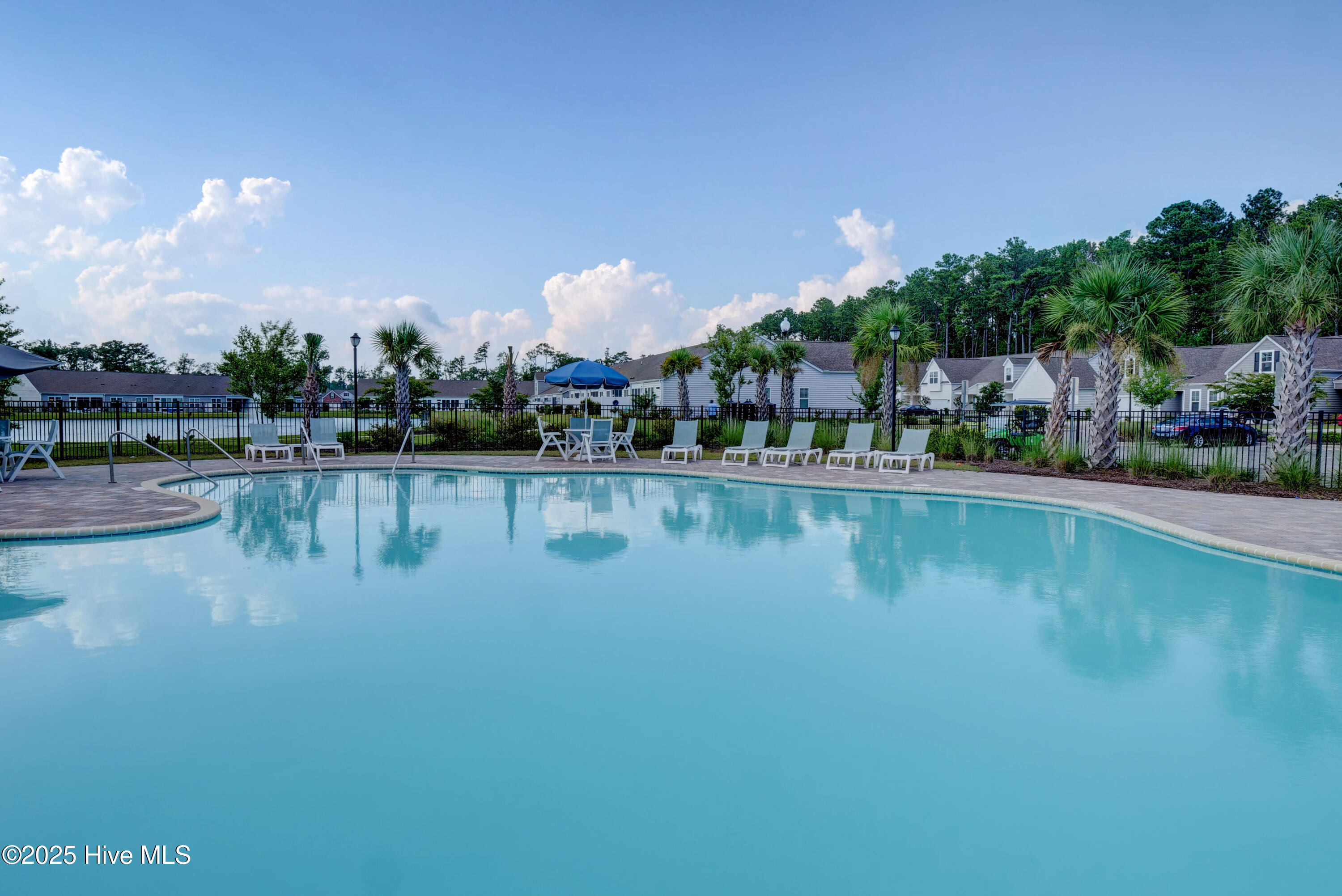 100543759 | Photo 17