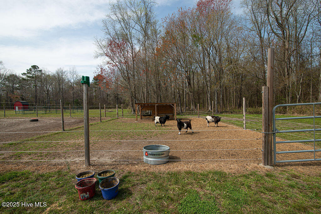 1560 White Oak River Road,Maysville
