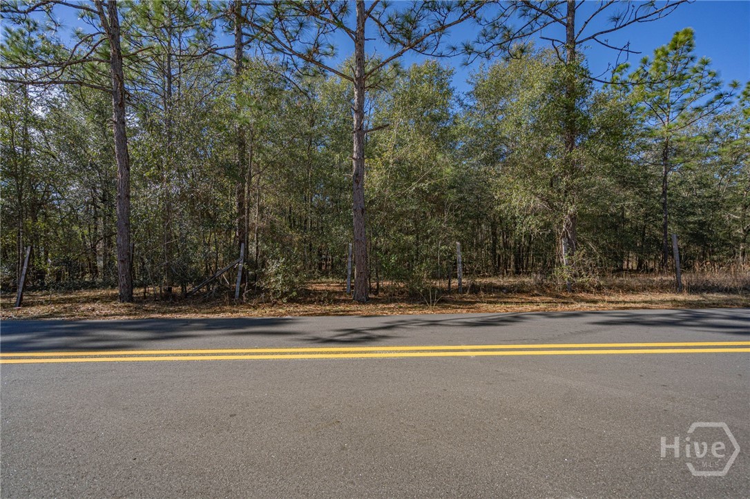 0 Holly, Eden, Georgia, 0 ,Land,For sale,Holly,SA346248