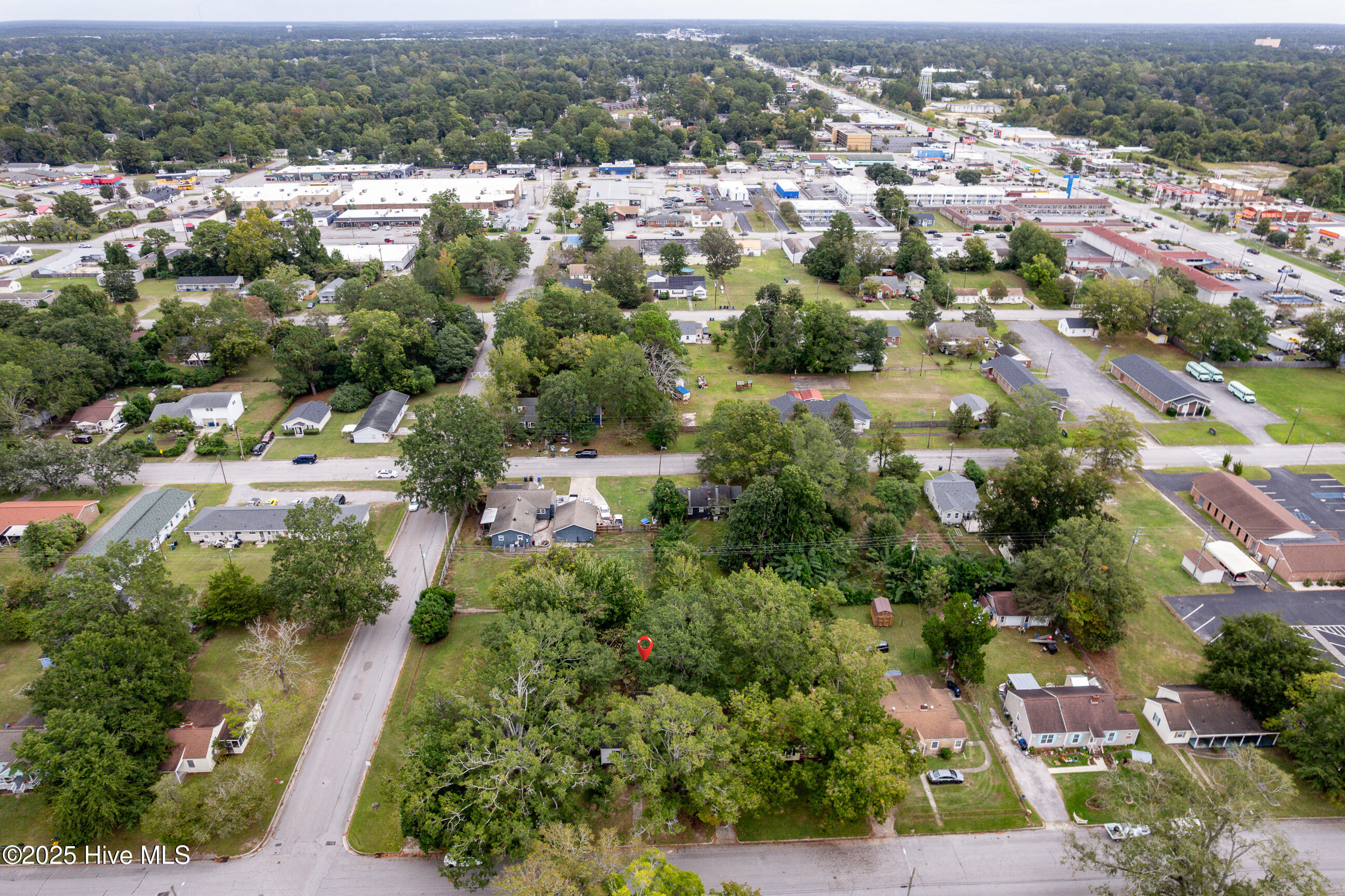 100535237 | Photo 25