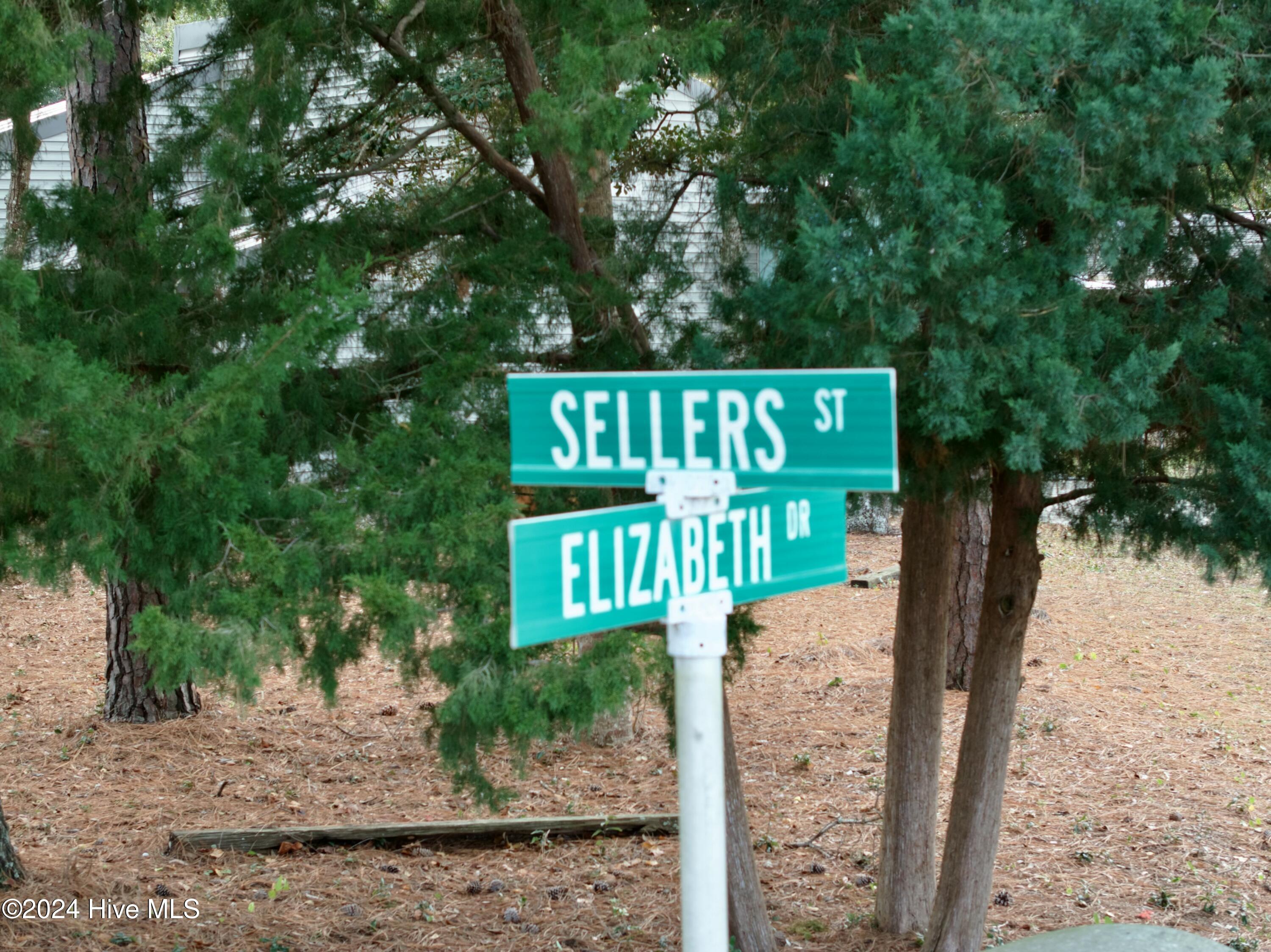 206 Elizabeth Drive, Oak Island, NC, 28465