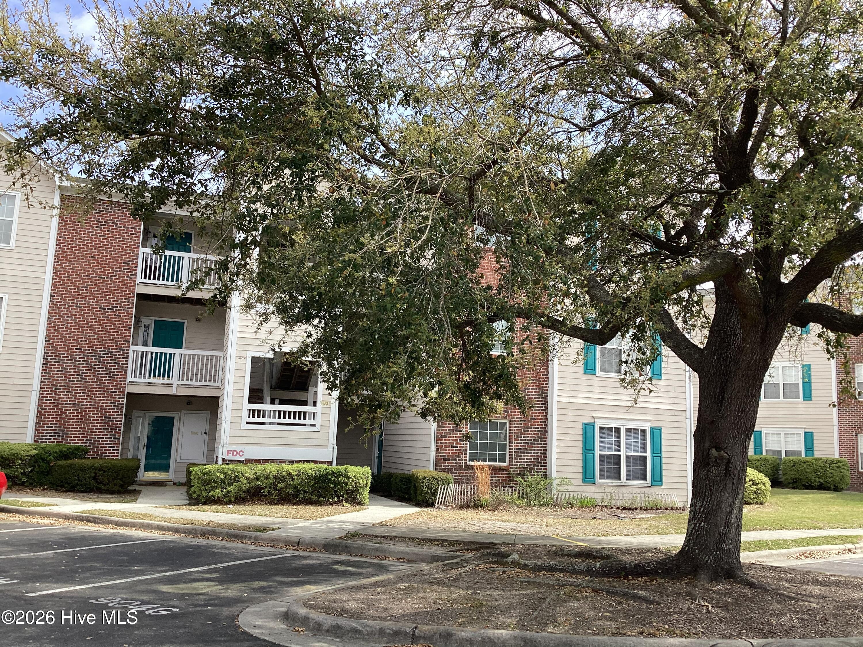 100562875 | Photo 24