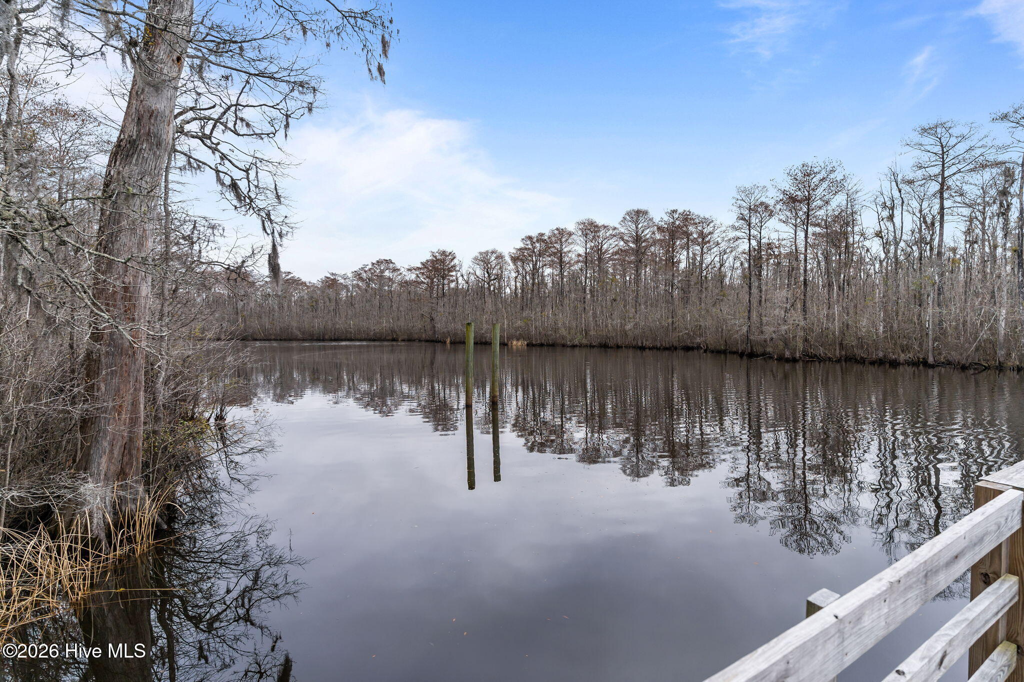 100558259 | Photo 50