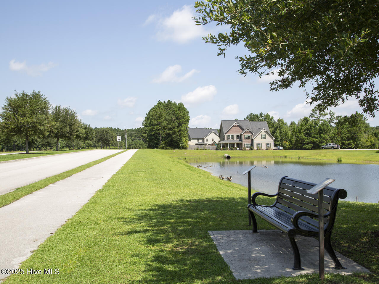 100546498 | Photo 40