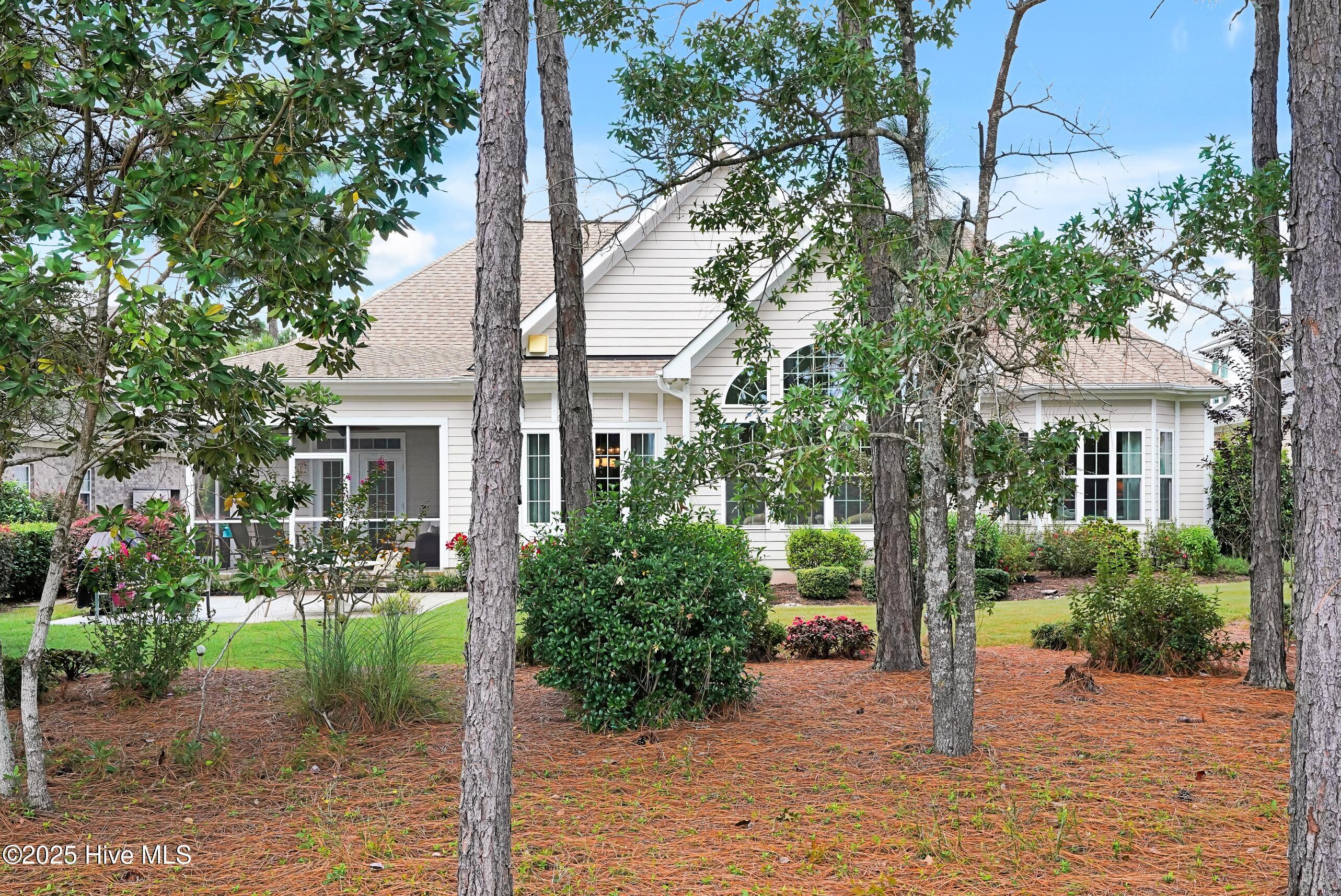 100557169 | Photo 49