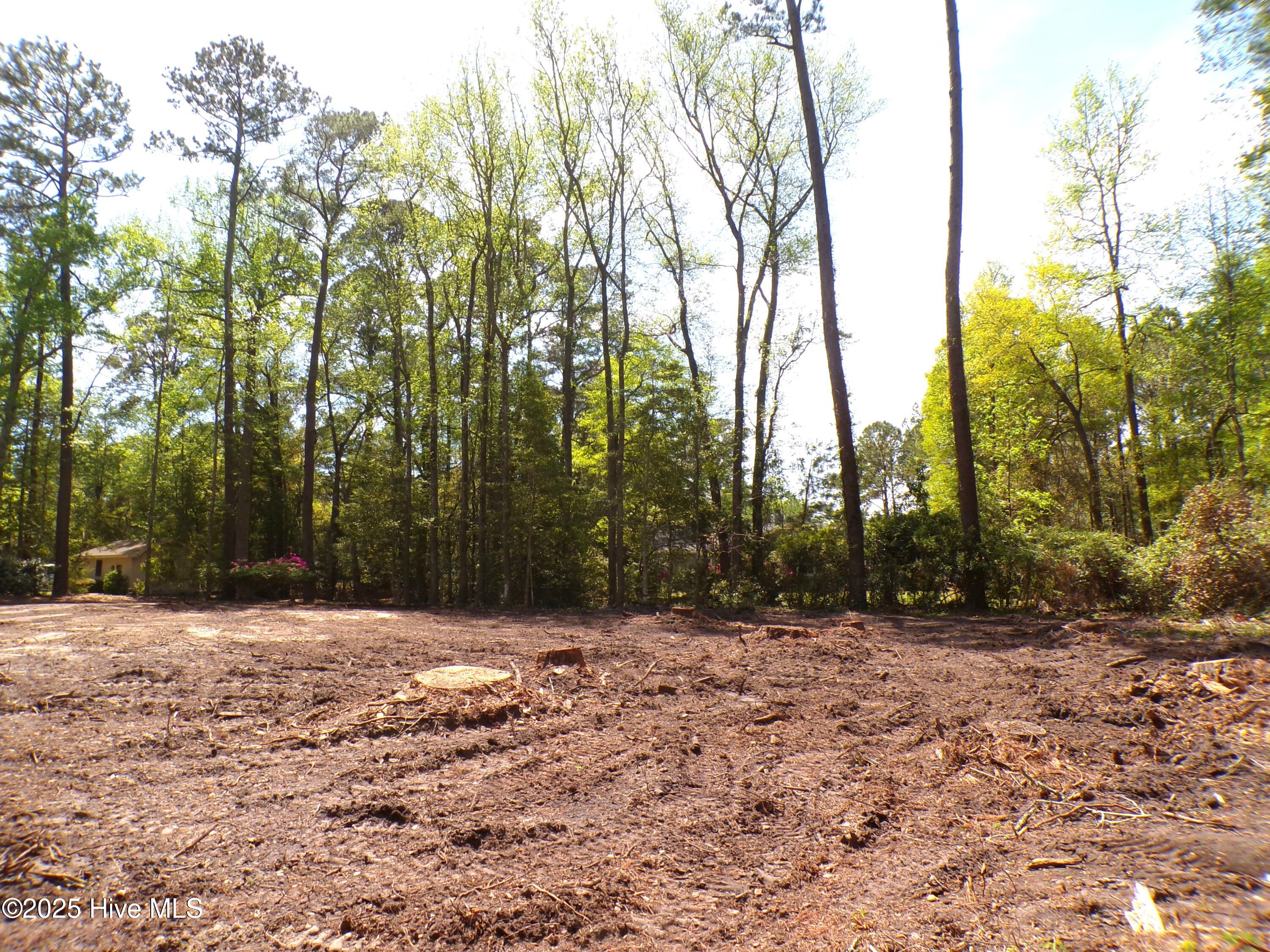 100499822 | Photo 23