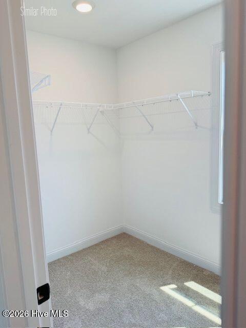 100543718 | Photo 19