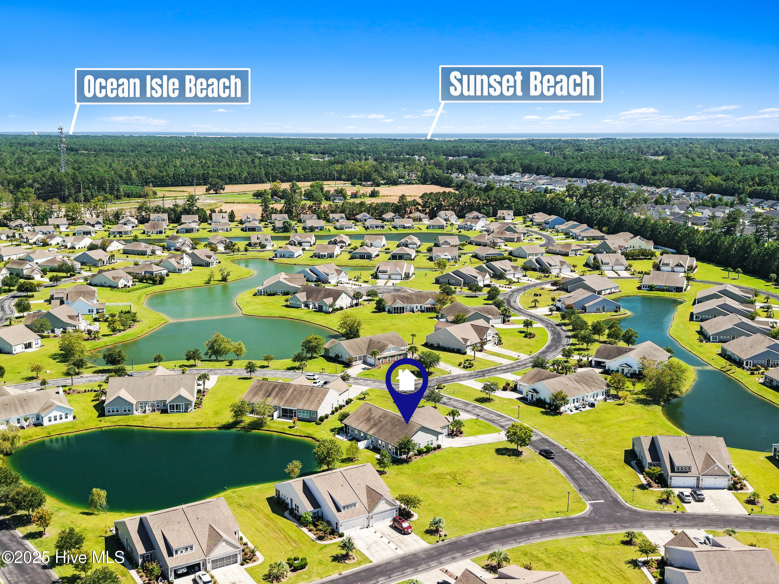 100529501 | Photo 44