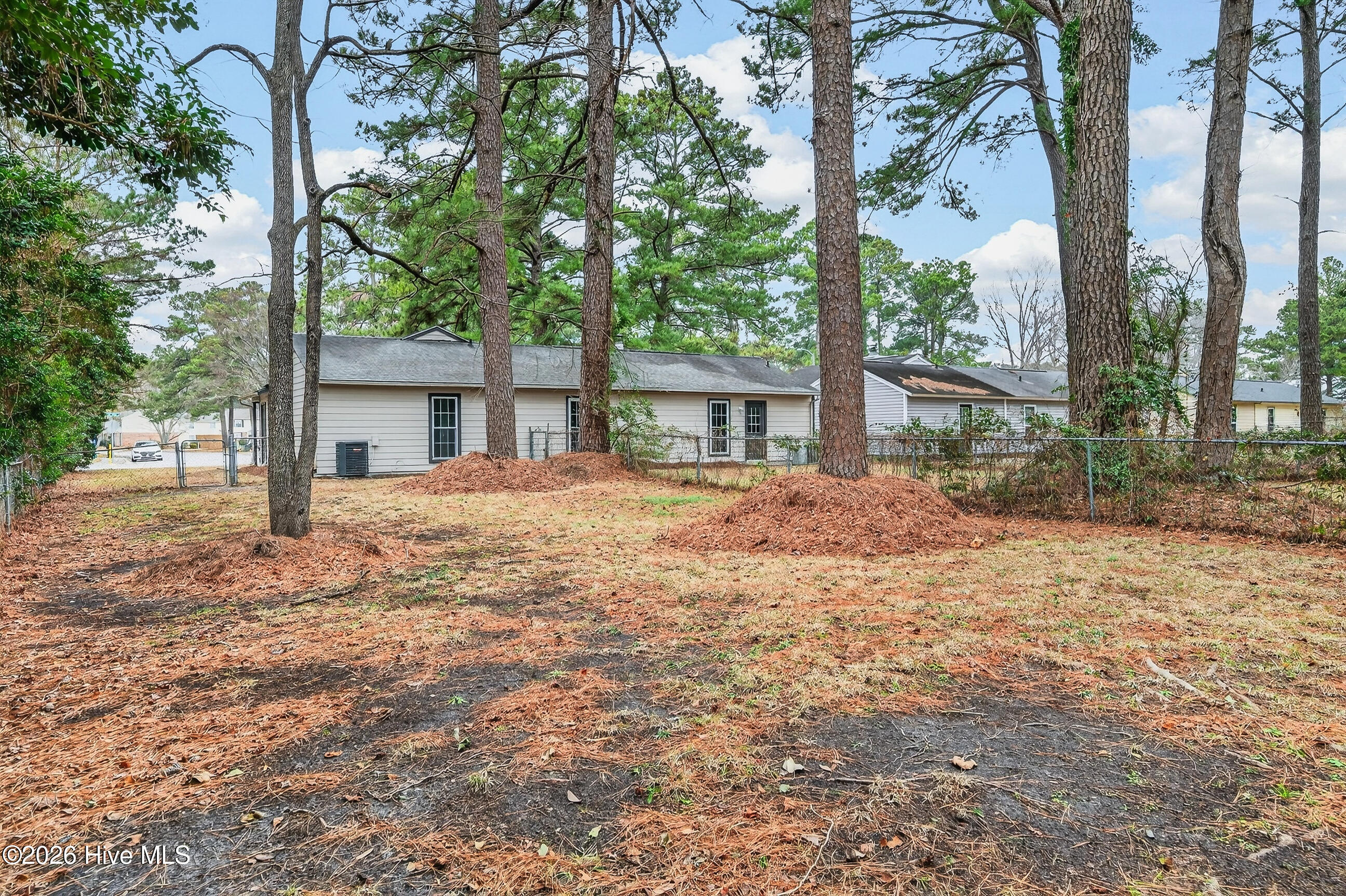 100555827 | Photo 24