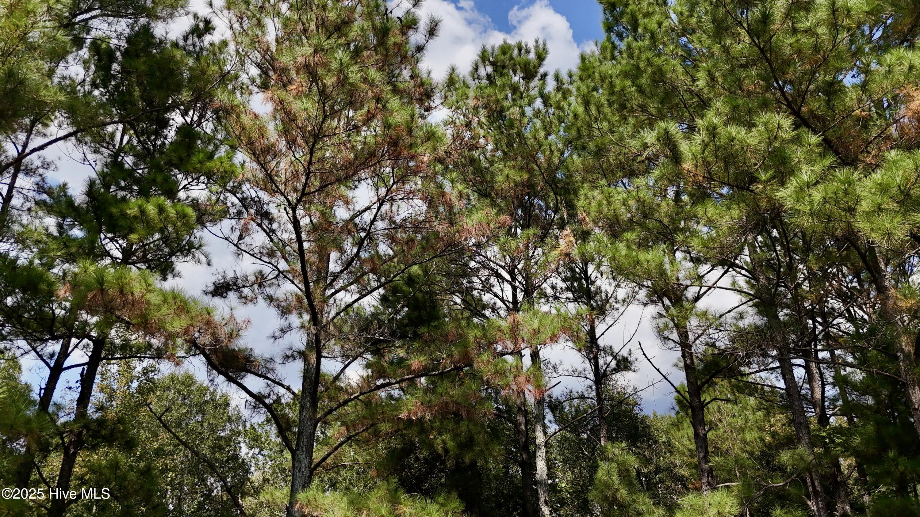 100531803 | Photo 24