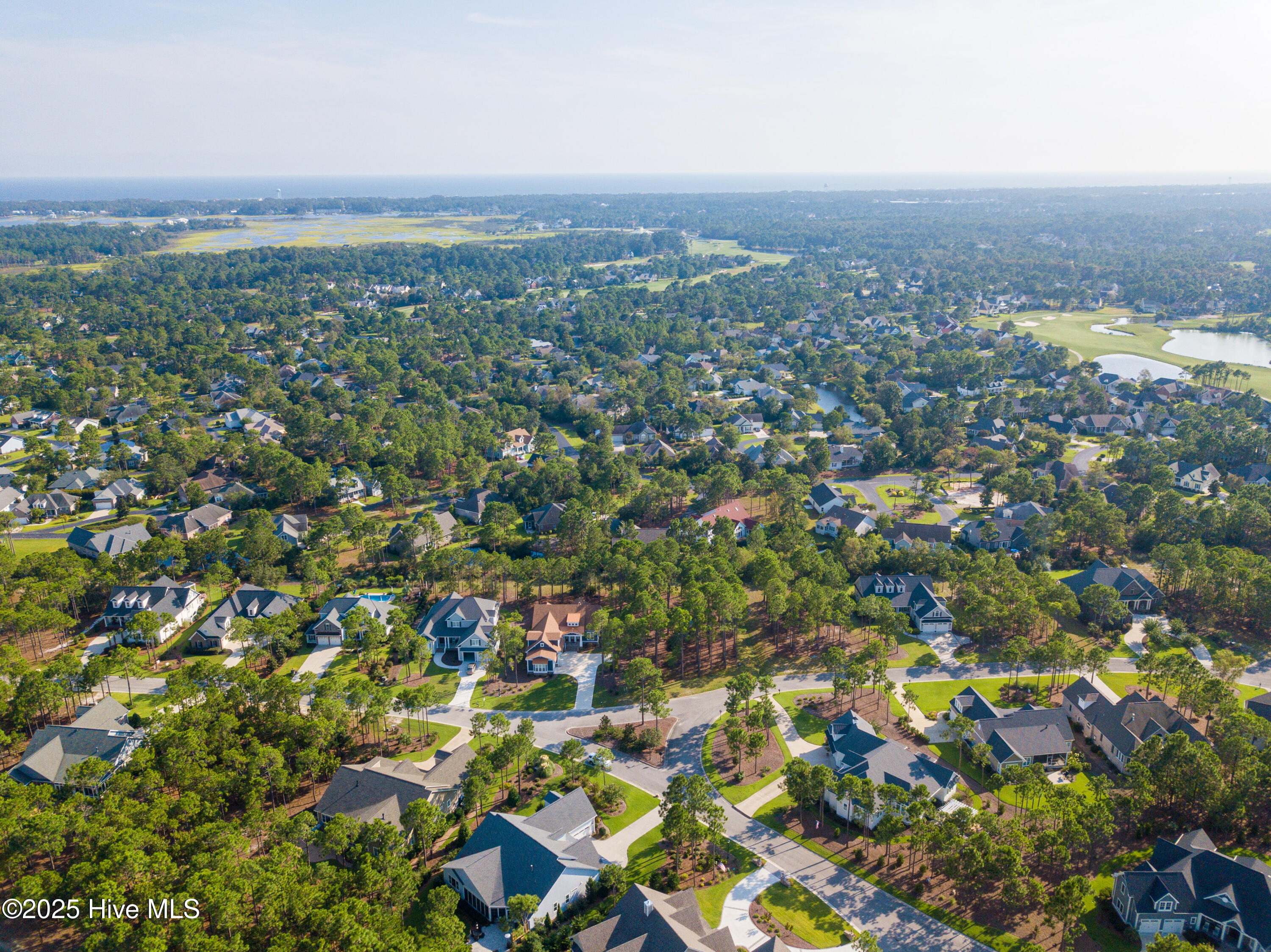 100523896 | Photo 70