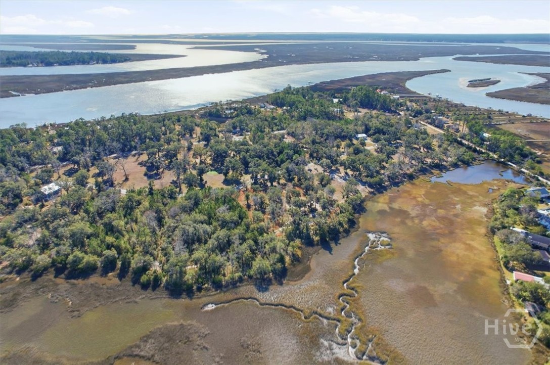 Homes for sale in Midway, GA | Lot 5 Bermuda Bluff Ln, Midway, GA 31320 | MLS# SA348422