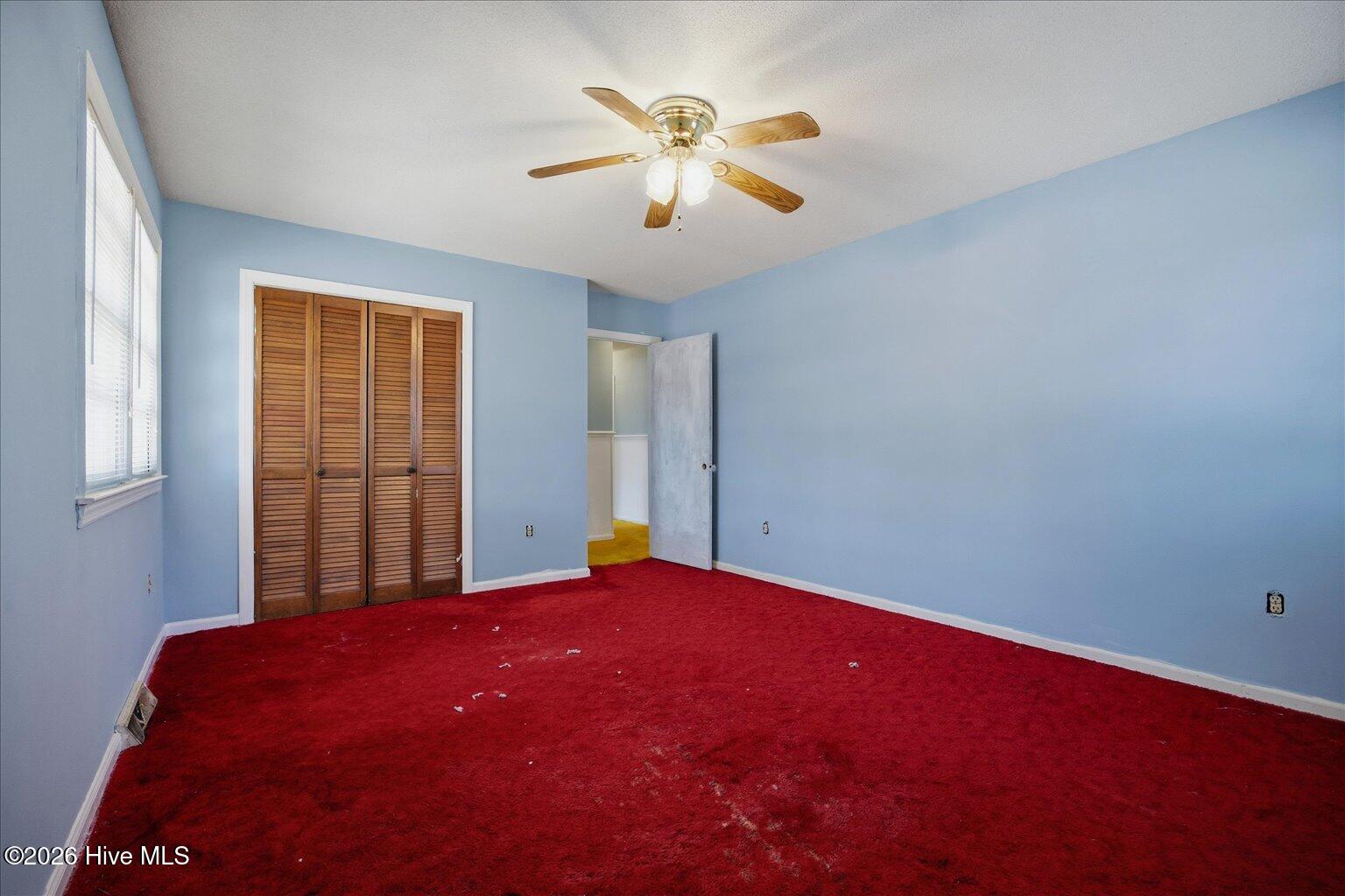 100557418 | Photo 24