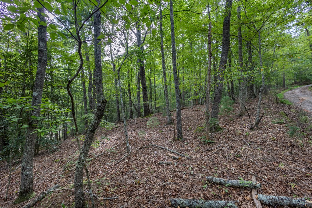 Exterior photo of 2 AC Horvath Road, Murphy, NC 28906. MLS: 98543892