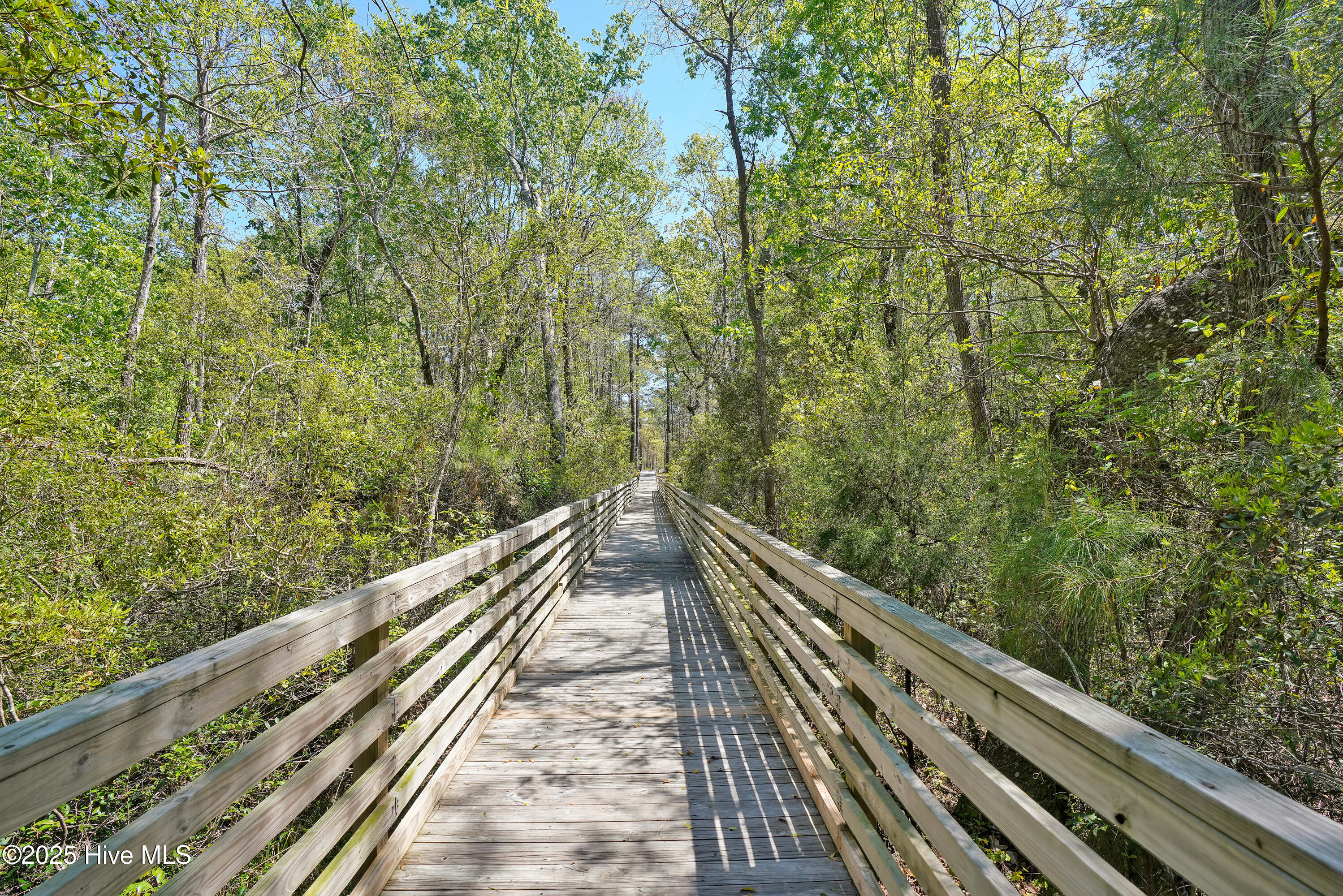 100508113 | Photo 40