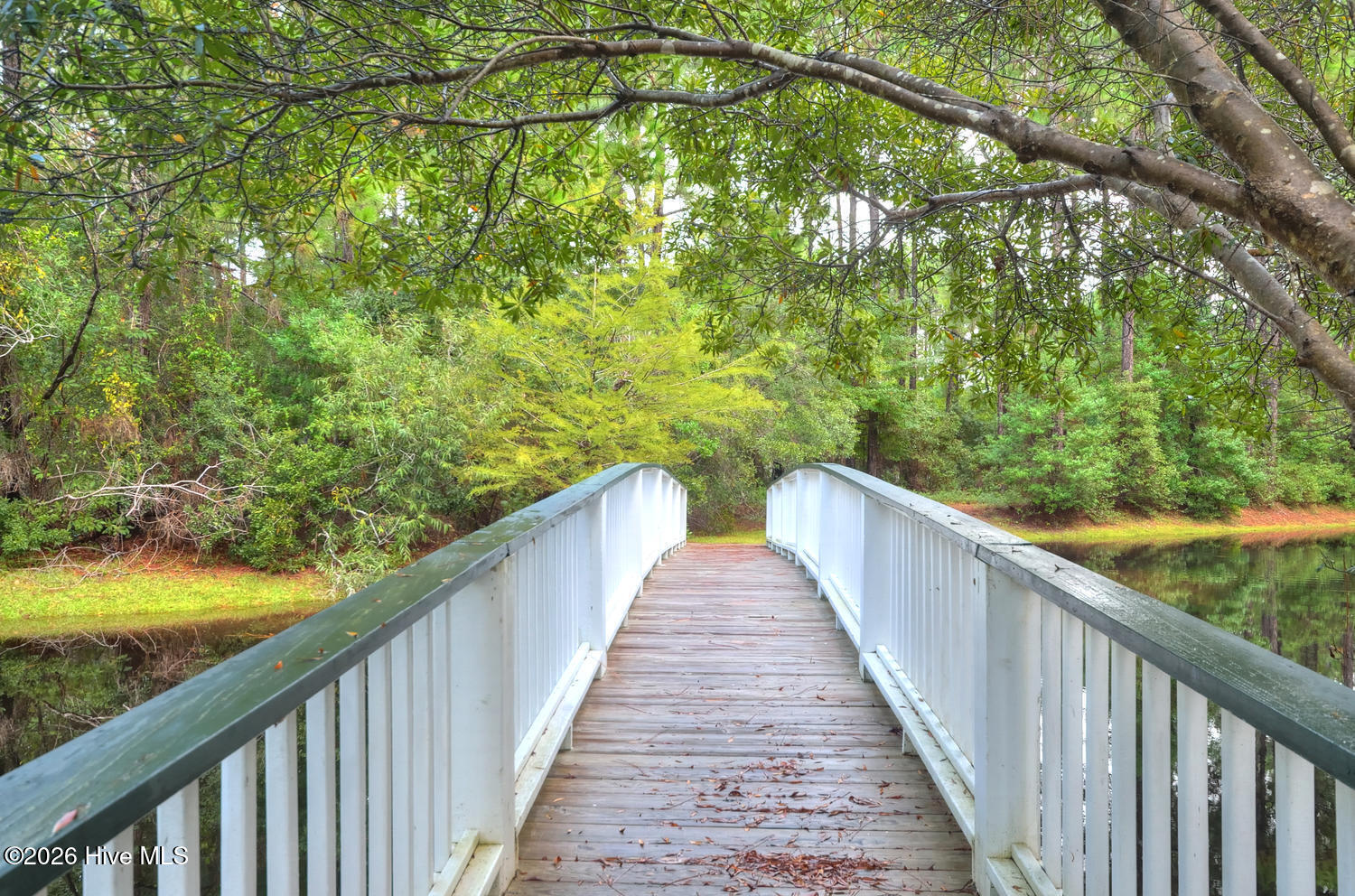 100556413 | Photo 55