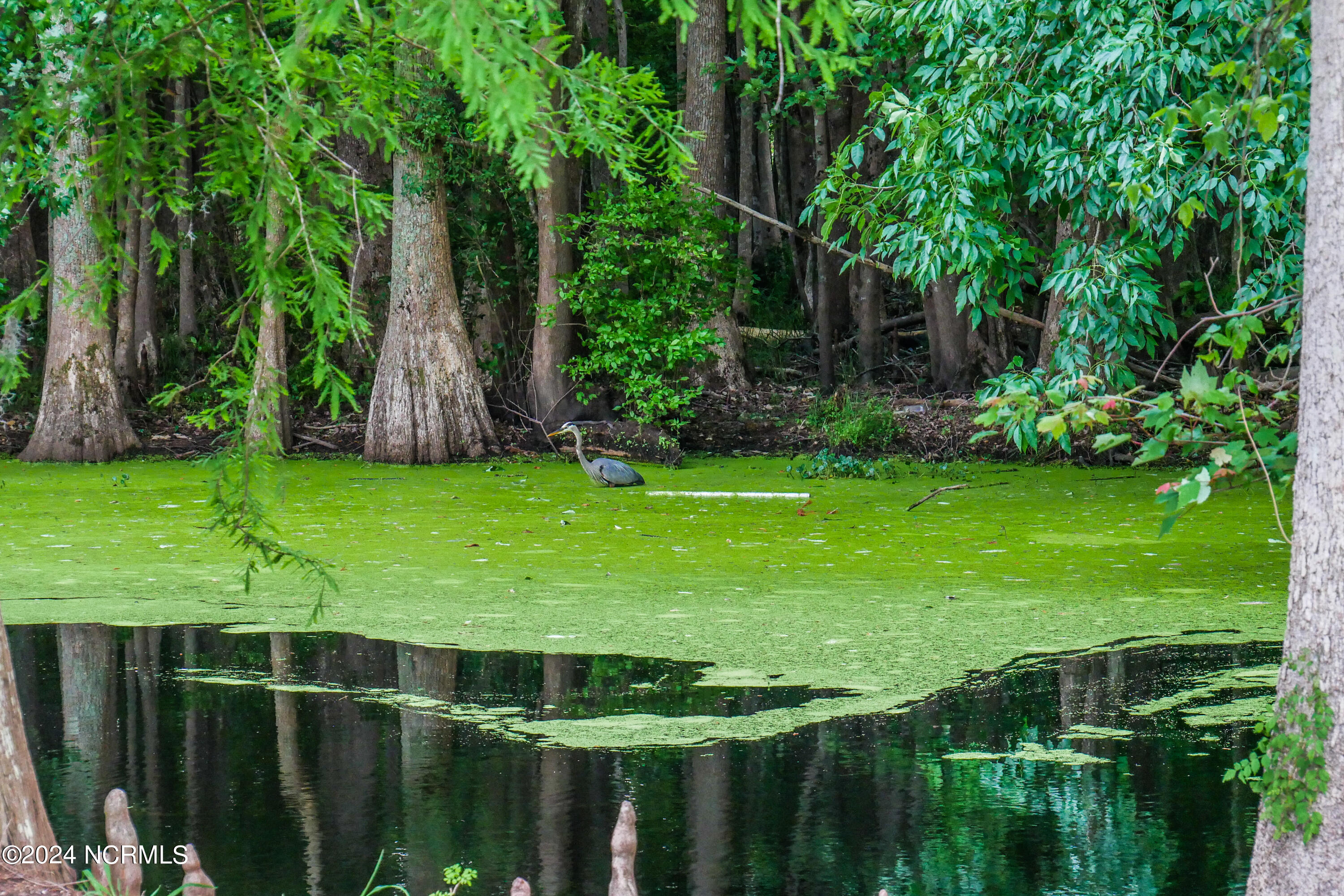 100558799 | Photo 46