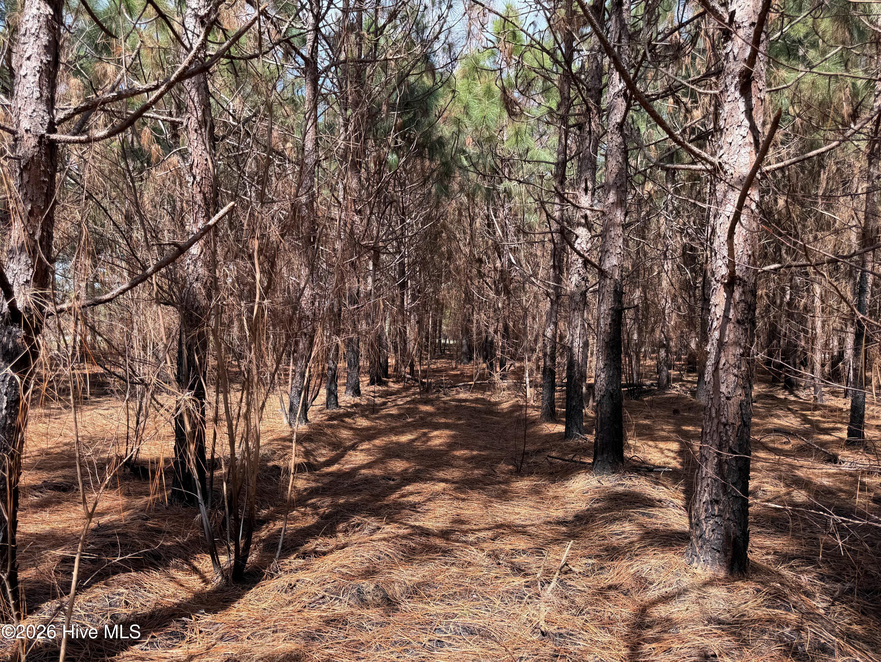 100560557 | Photo 35