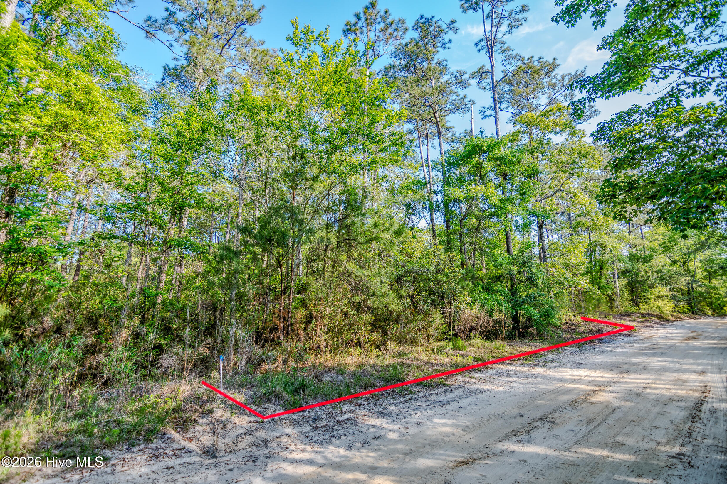 100568893 | Photo 12