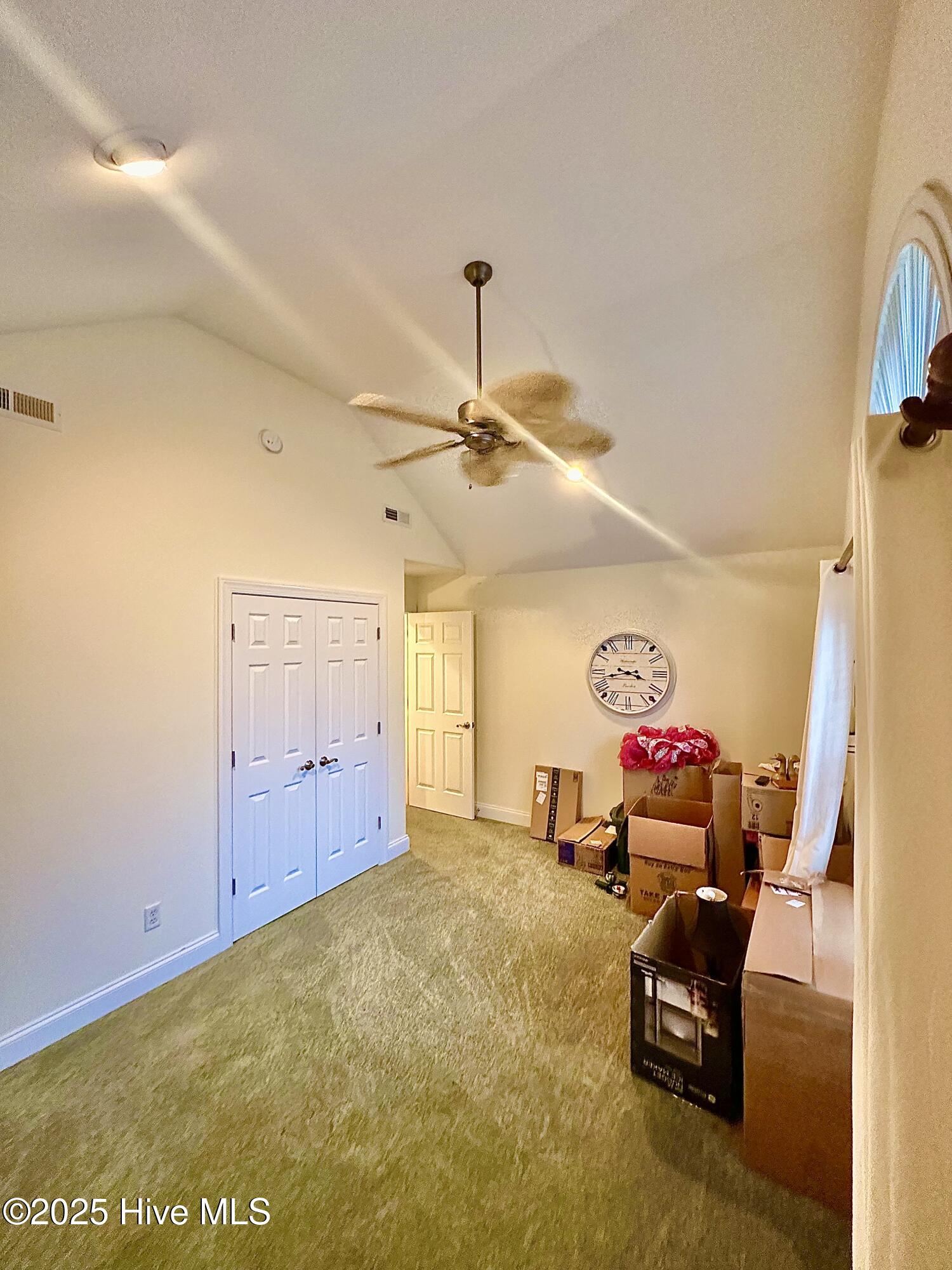 100523246 | Photo 21