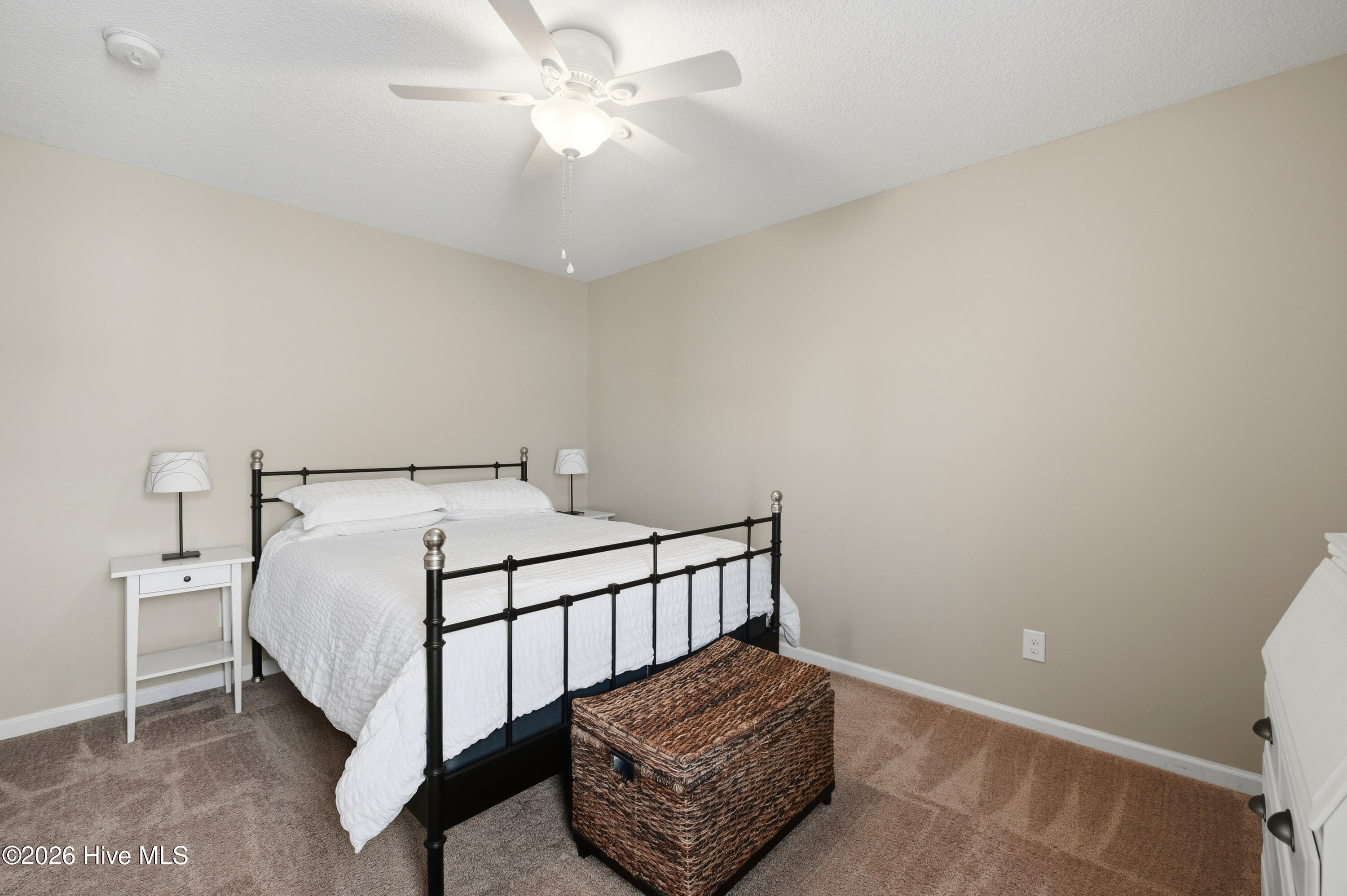 100565426 | Photo 37