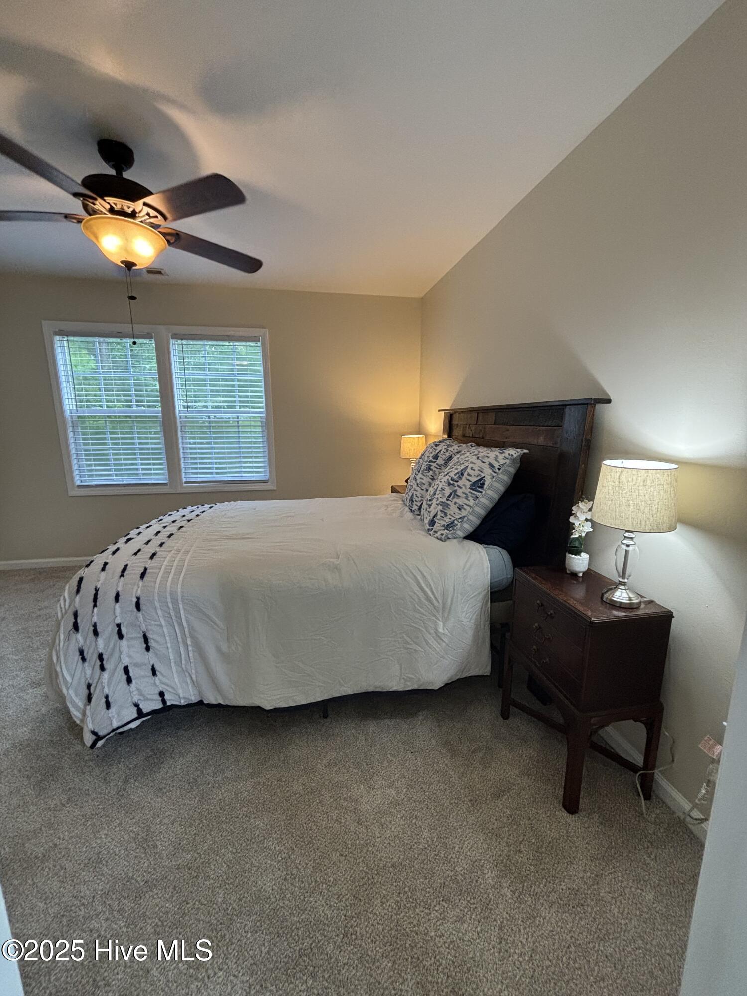 100522436 | Photo 19