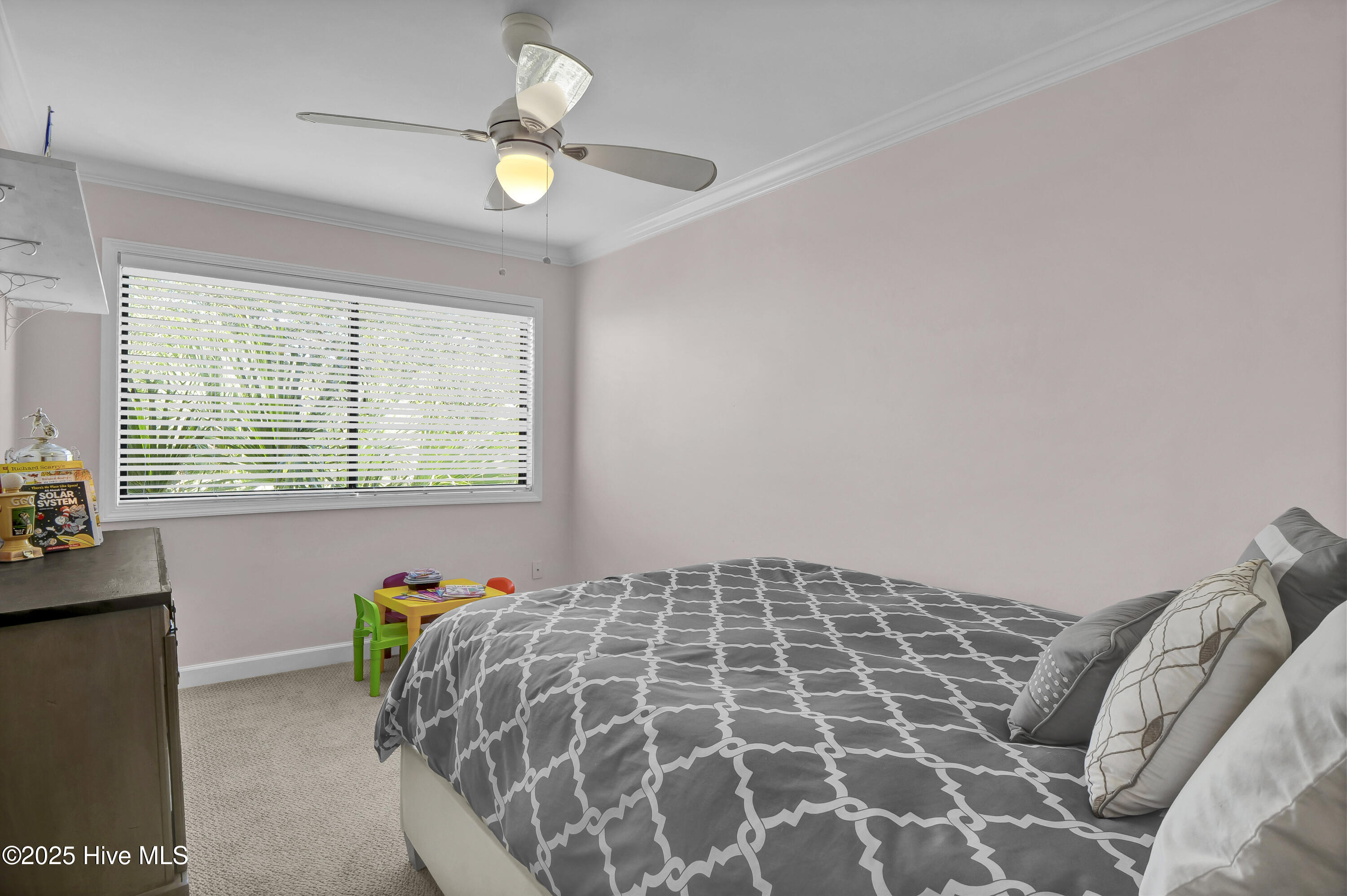 100532571 | Photo 25