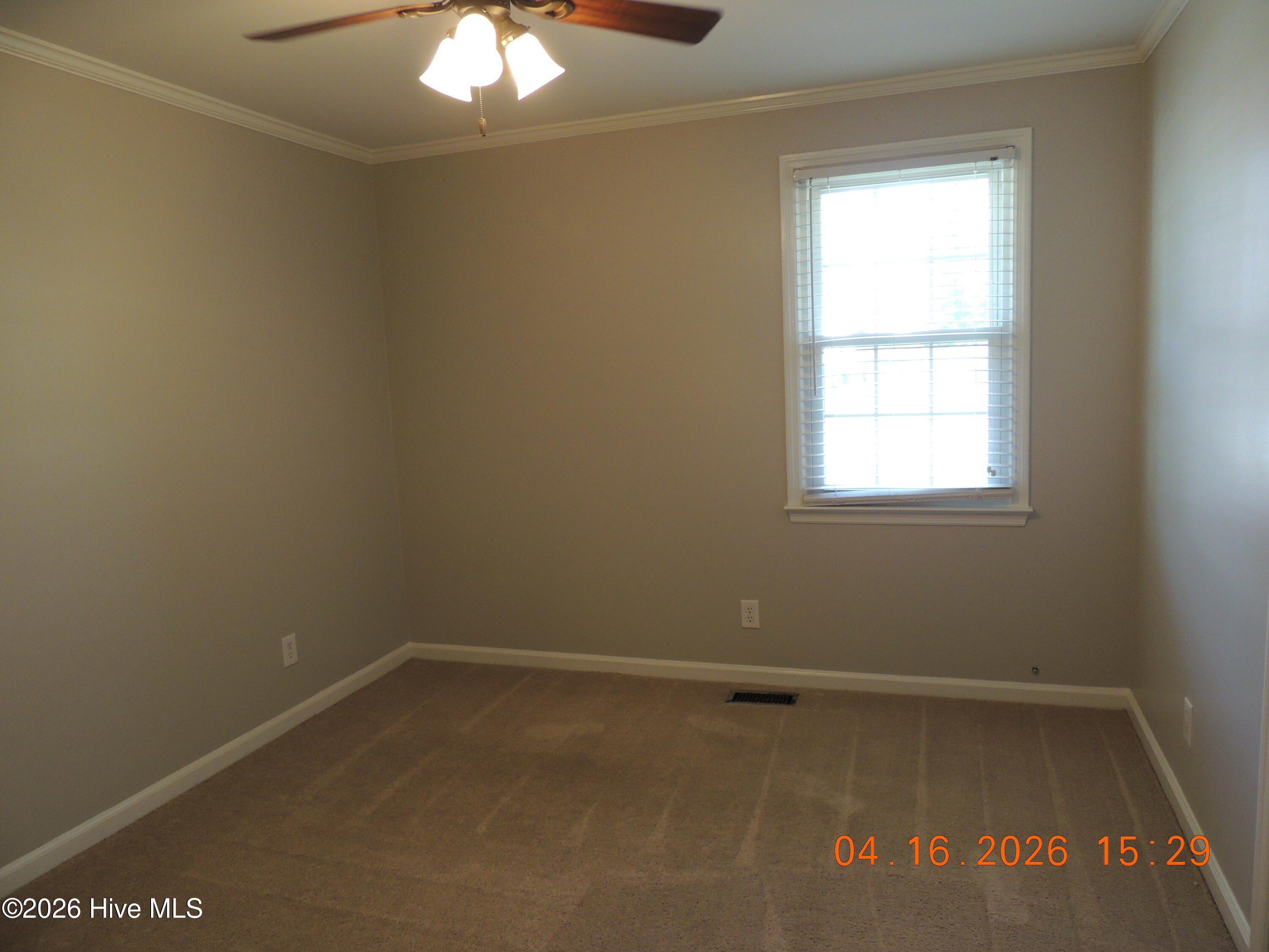 100565654 | Photo 17