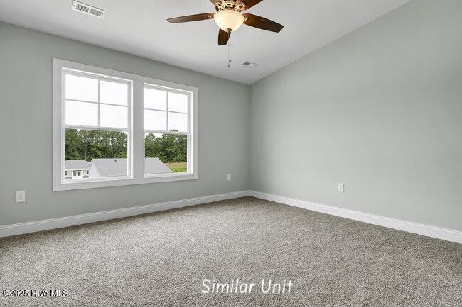 100543648 | Photo 27