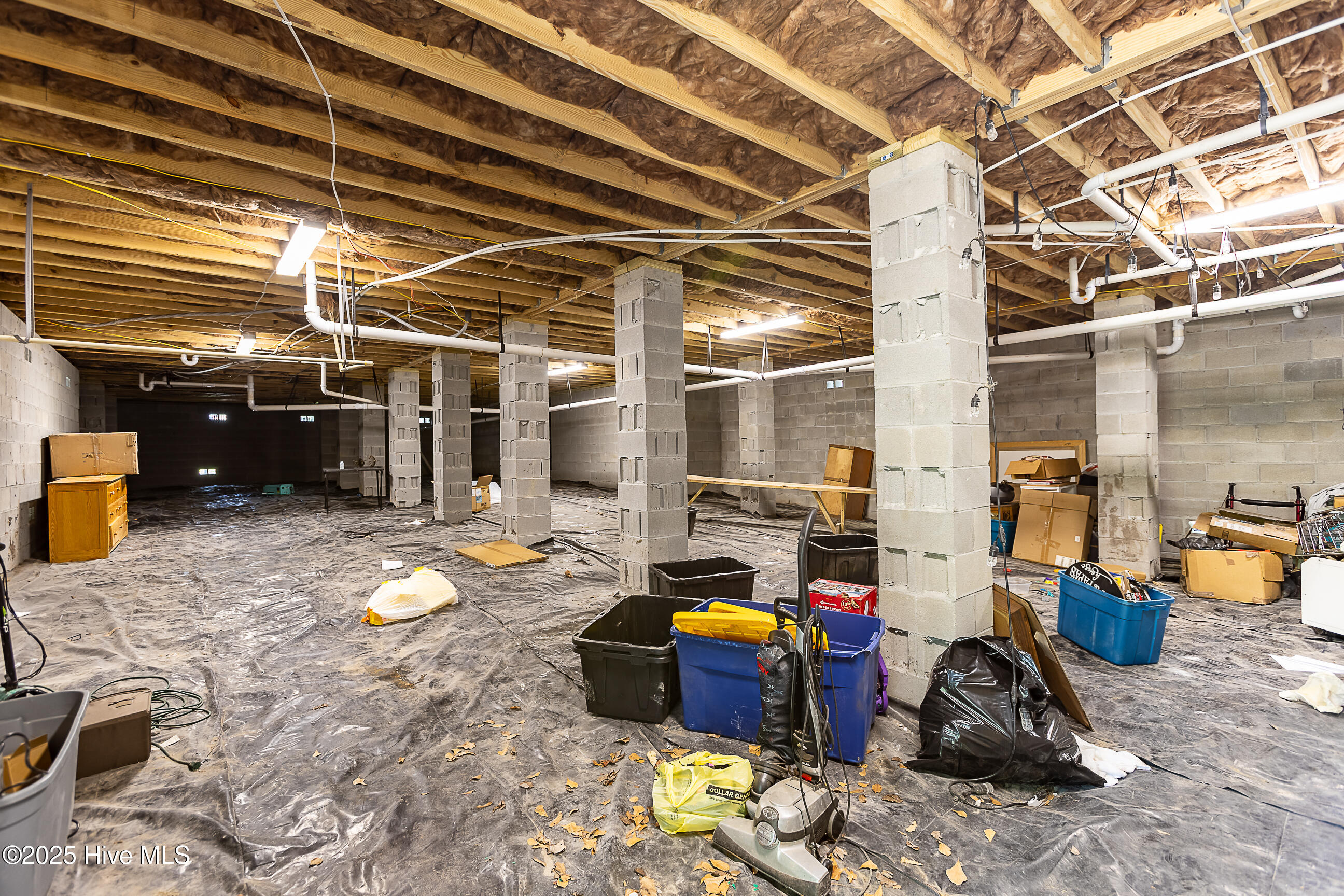 100516576 | Photo 20