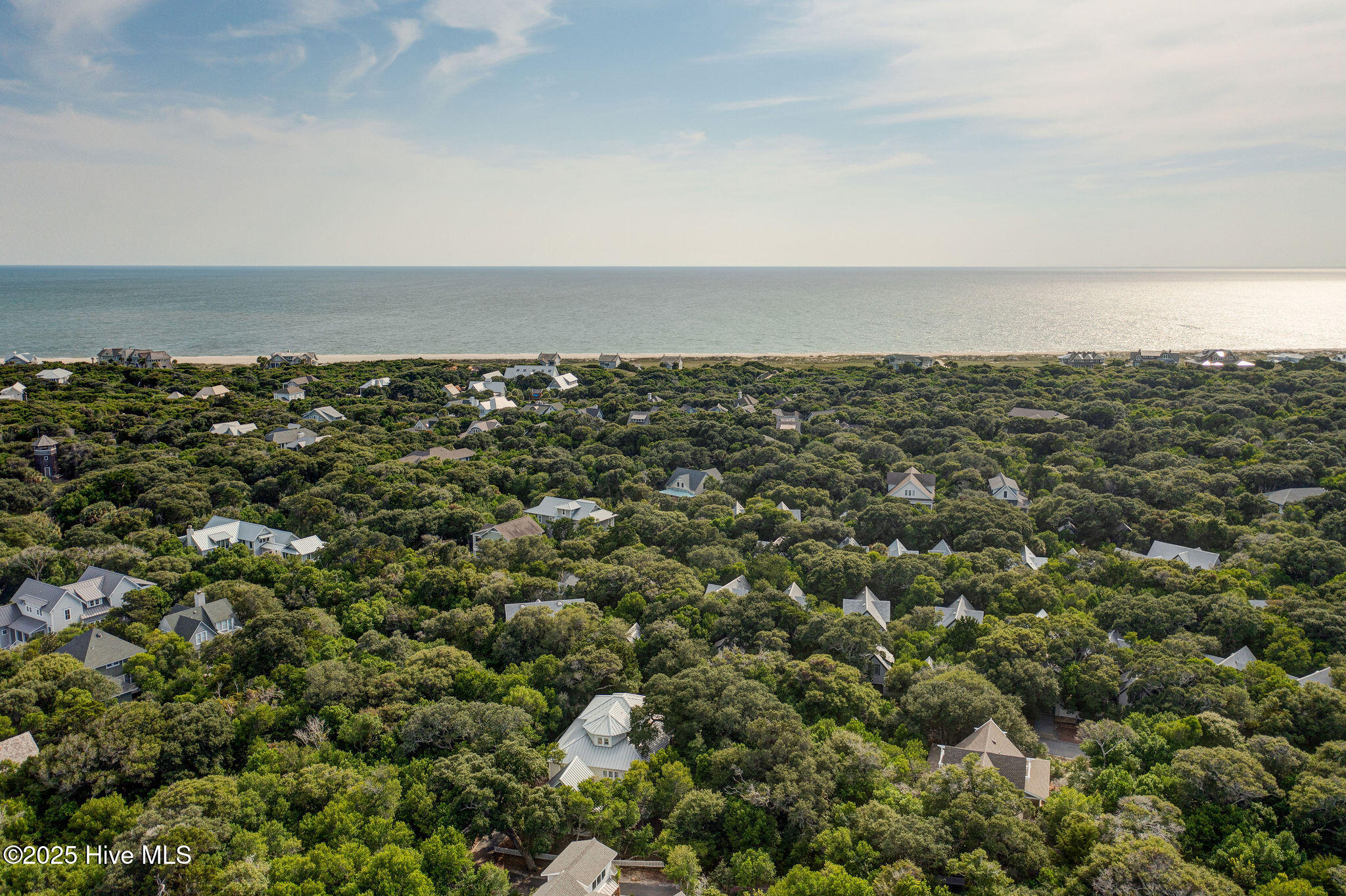 100531577 | Photo 44