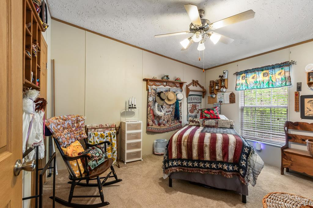 149 Sandy Lane, Murphy, NC 28906 Listing Photo  43