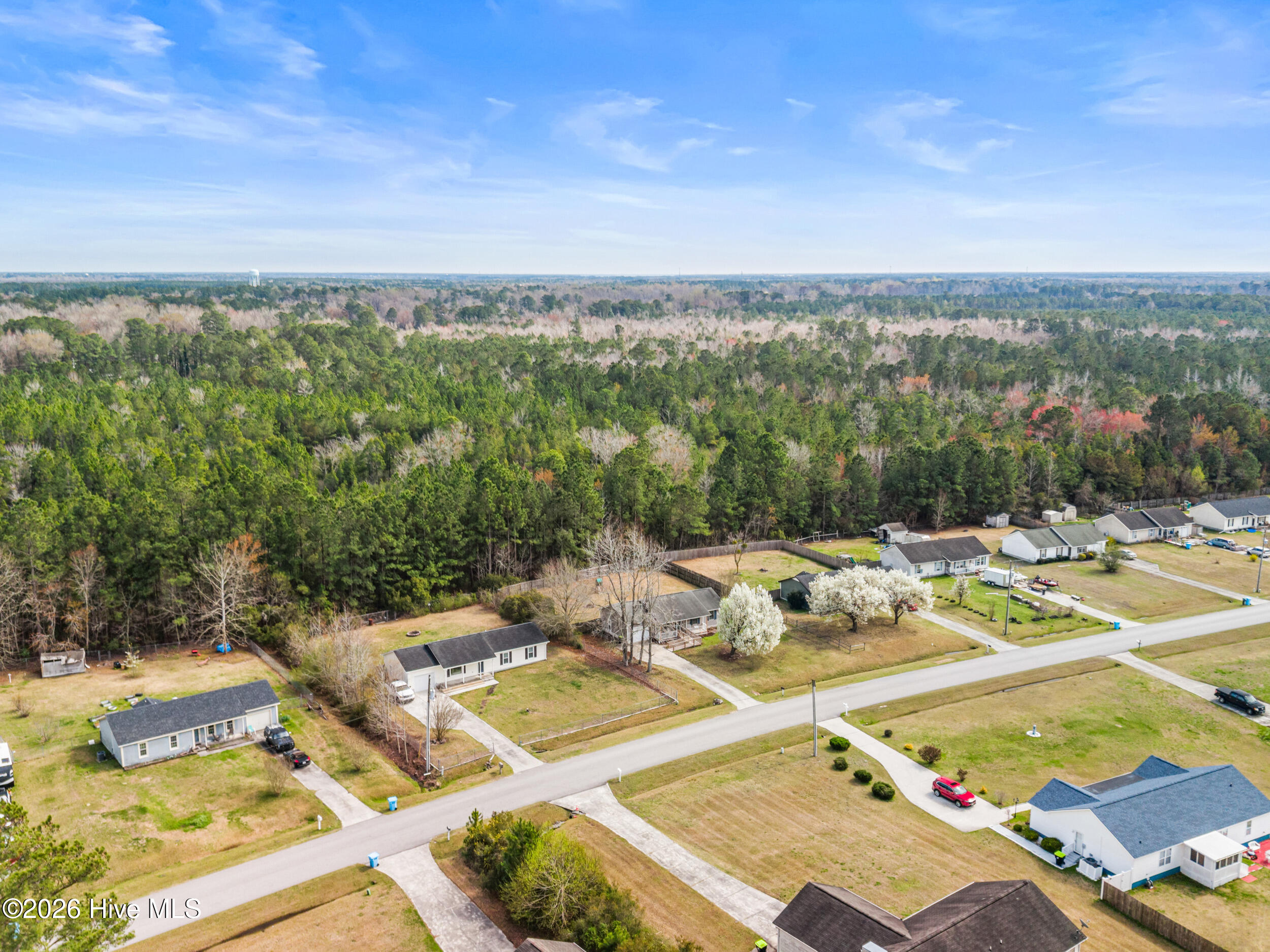 100561480 | Photo 42