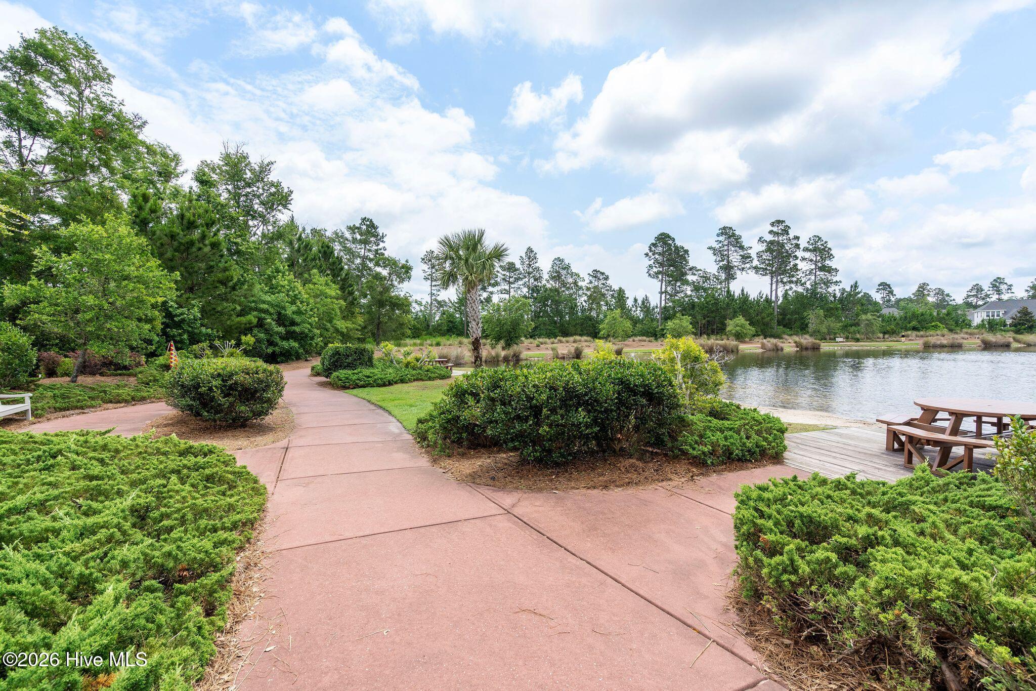 100559080 | Photo 107