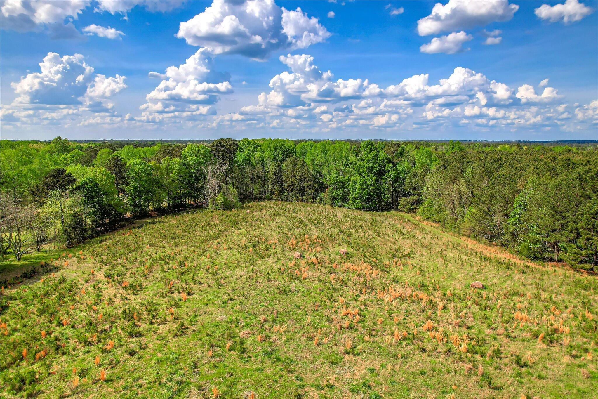 6995 Cobbham Road, Appling, GA, 30802