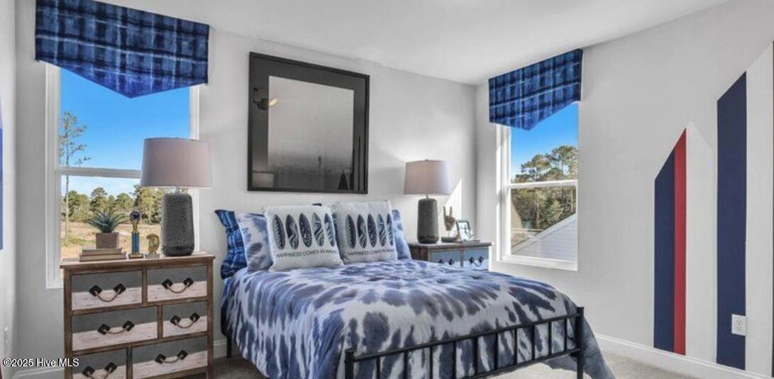 100554691 | Photo 18