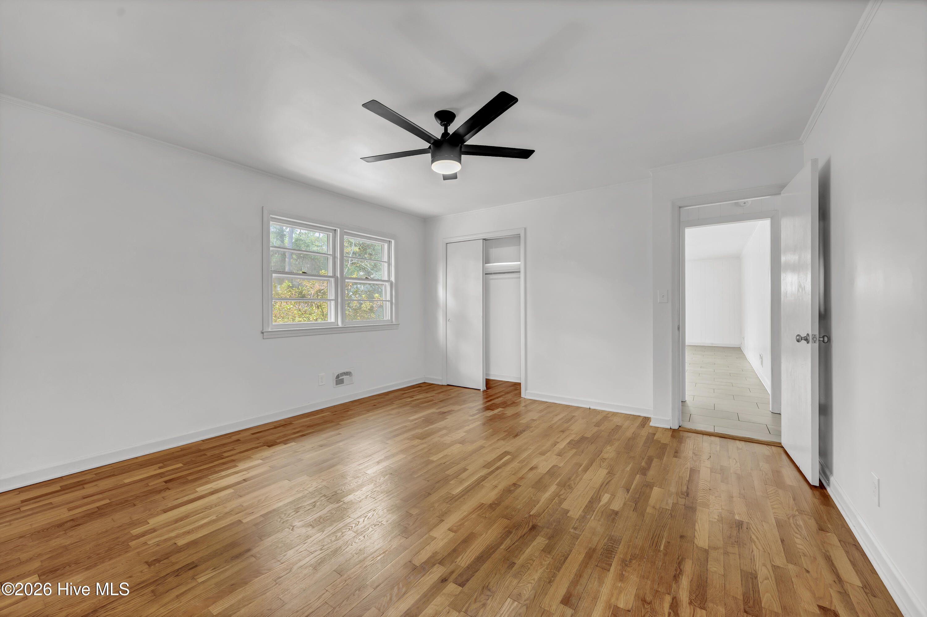 100548669 | Photo 10