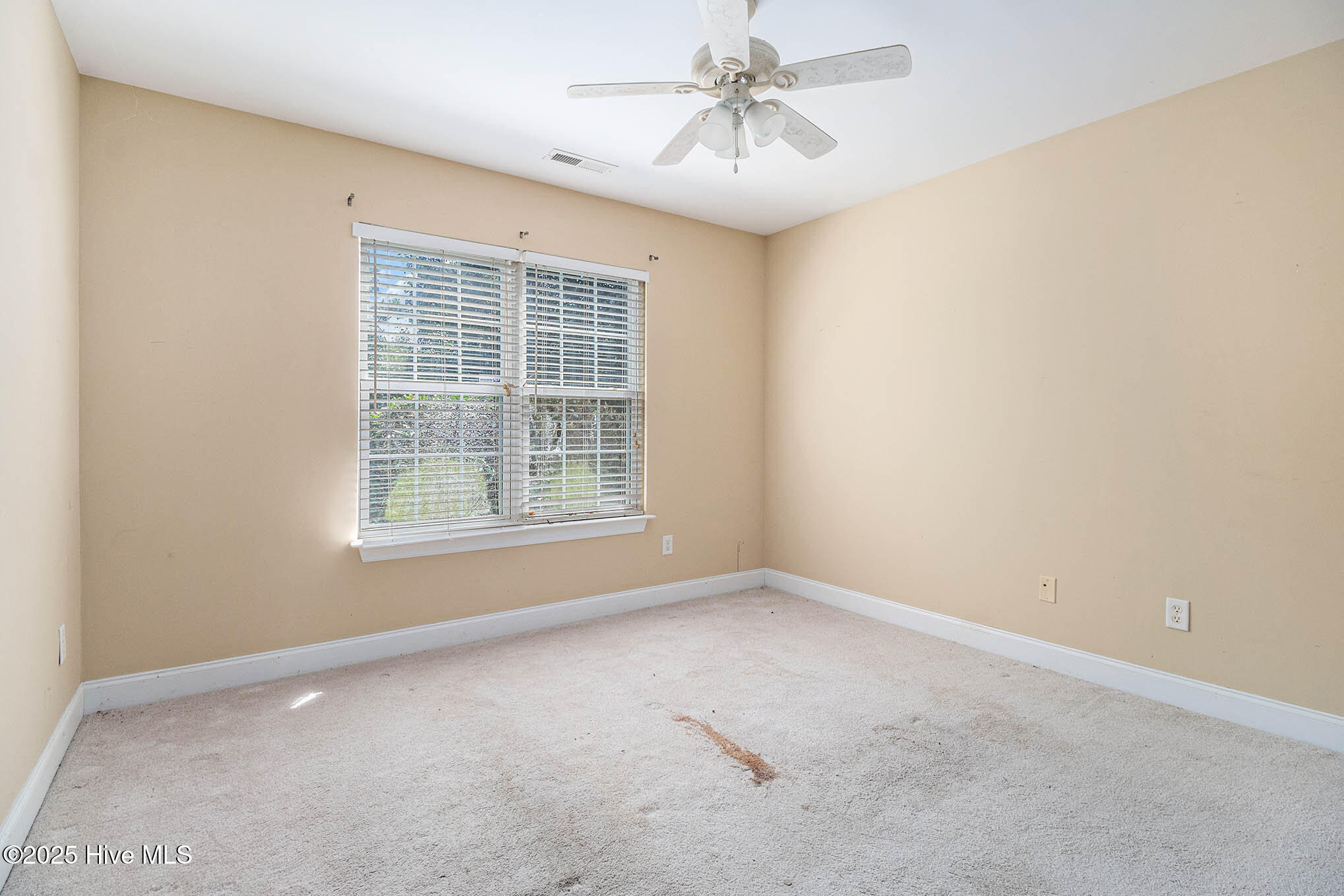 100526069 | Photo 16