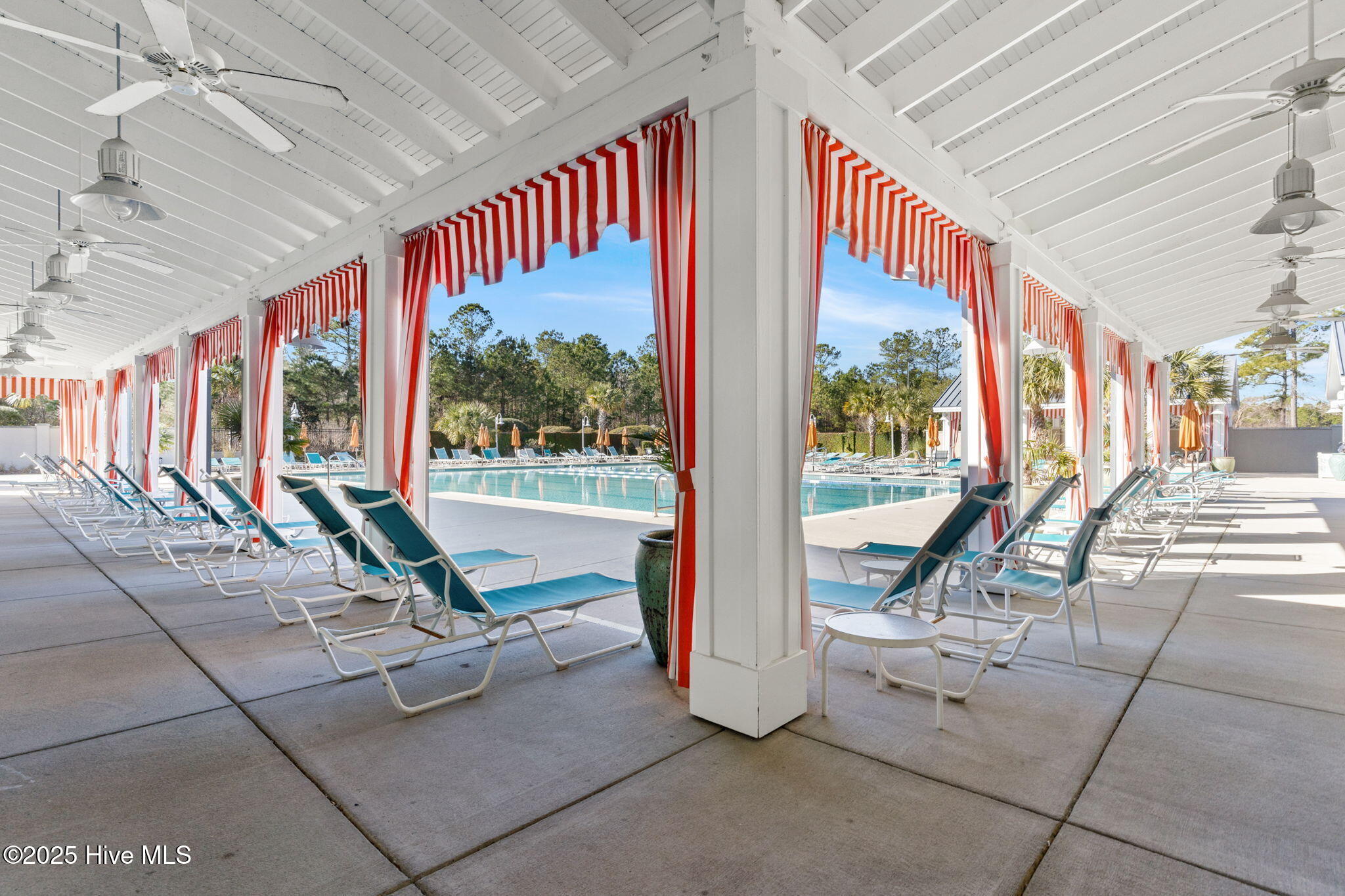 100558980 | Photo 49