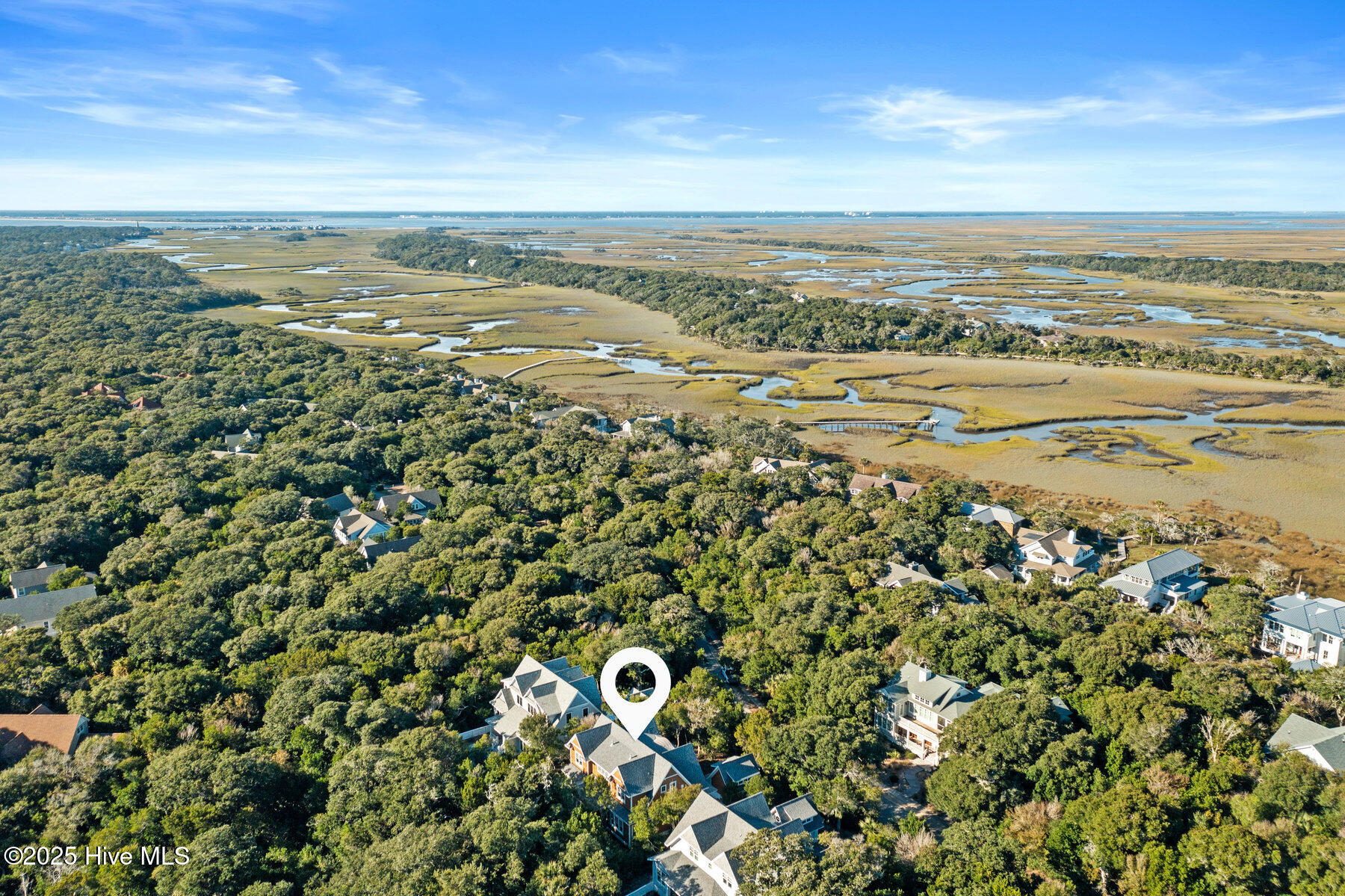 100401243 | Photo 96